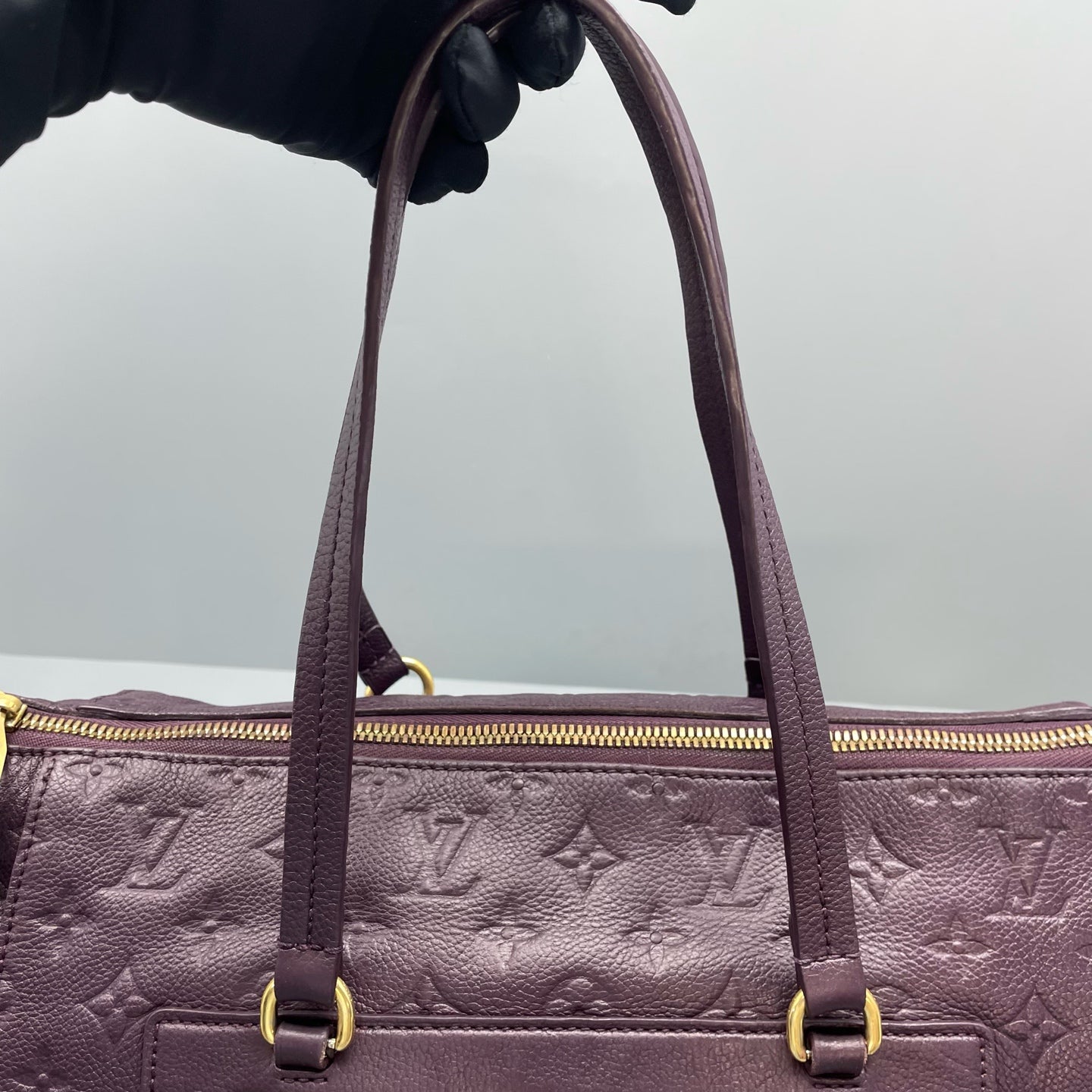 Louis Vuitton - Other - Leather - Purple - (large)