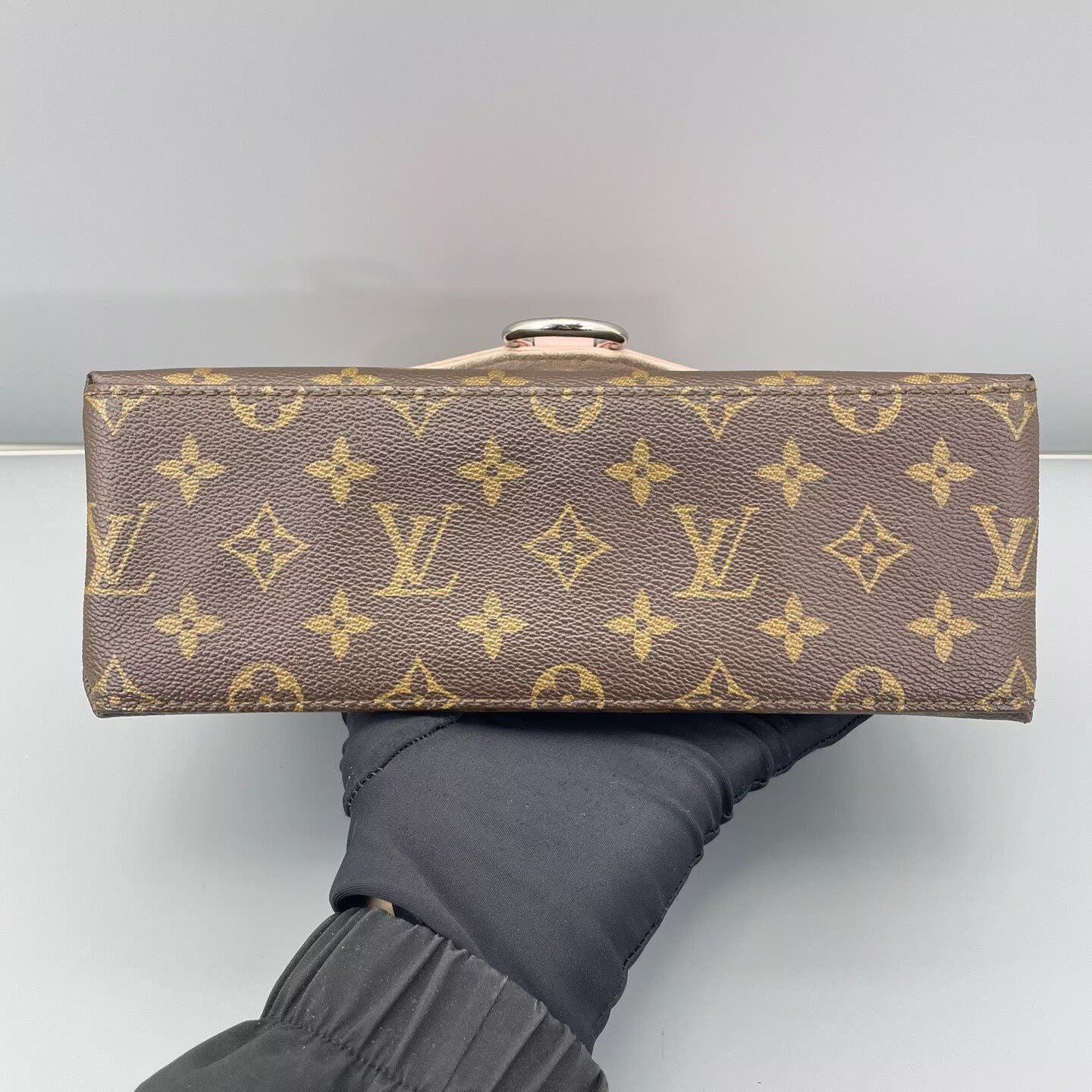 Louis Vuitton - Other - Monogram canvas with Epi leather trim - Brown and Pink with Silver-Tone Hardware - (small)