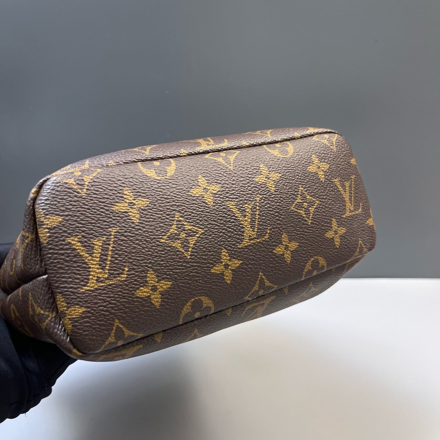 Louis Vuitton - Other - Synthetic - Brown - (mini)