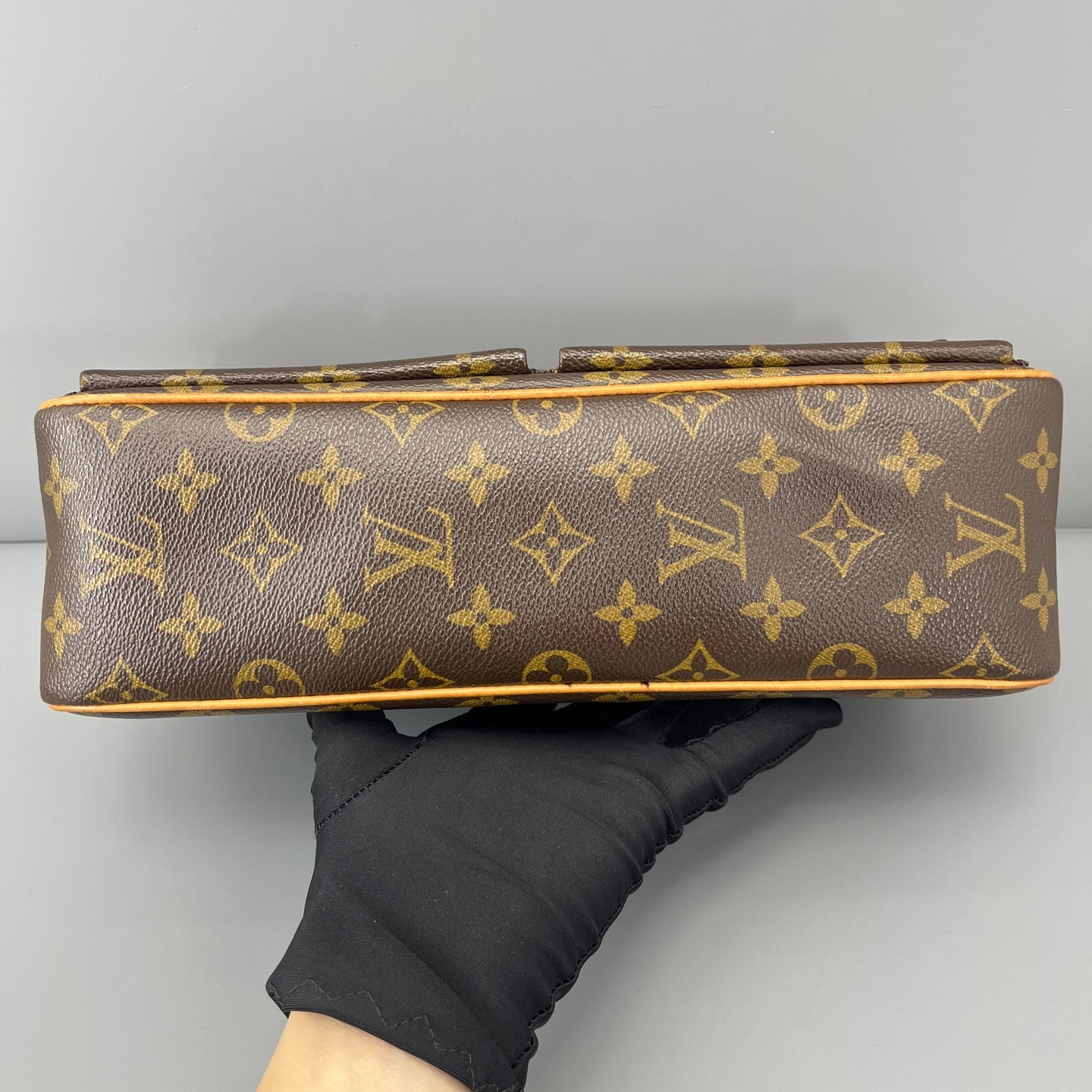 Louis Vuitton - Other - Synthetic - Brown - (small)