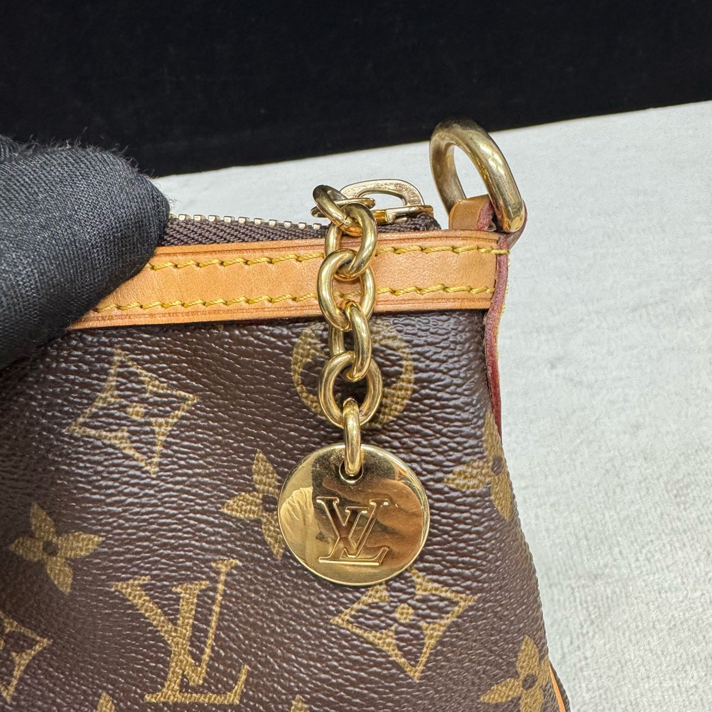 Louis Vuitton - Palermo - Leather - Brown - (small)