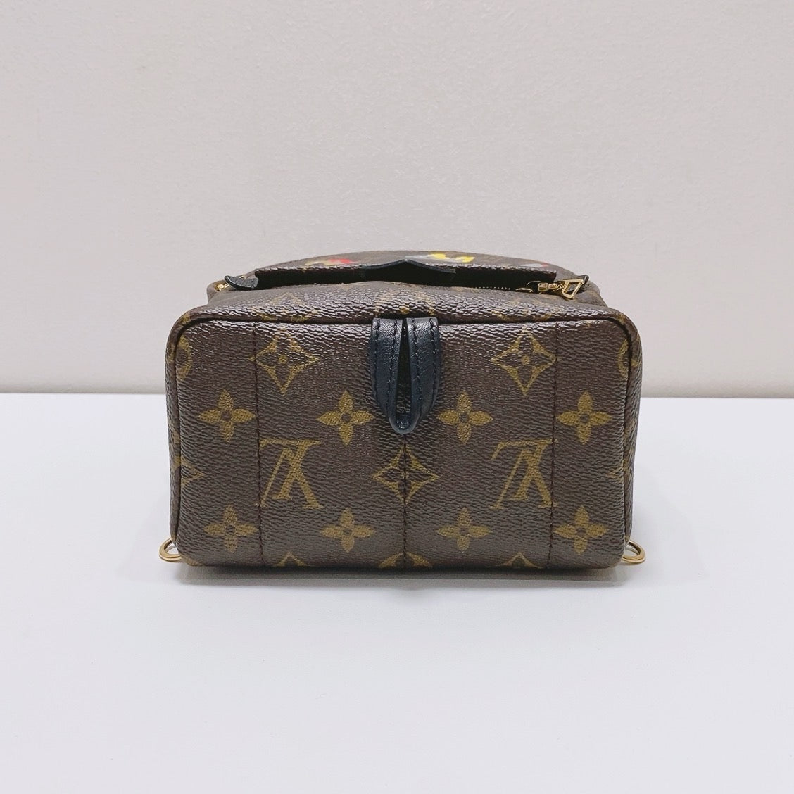 Louis Vuitton - Palm Springs - Cloth - Brown - (mini)