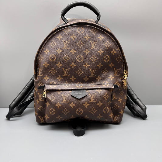 Louis Vuitton - Palm Springs - Leather - Brown