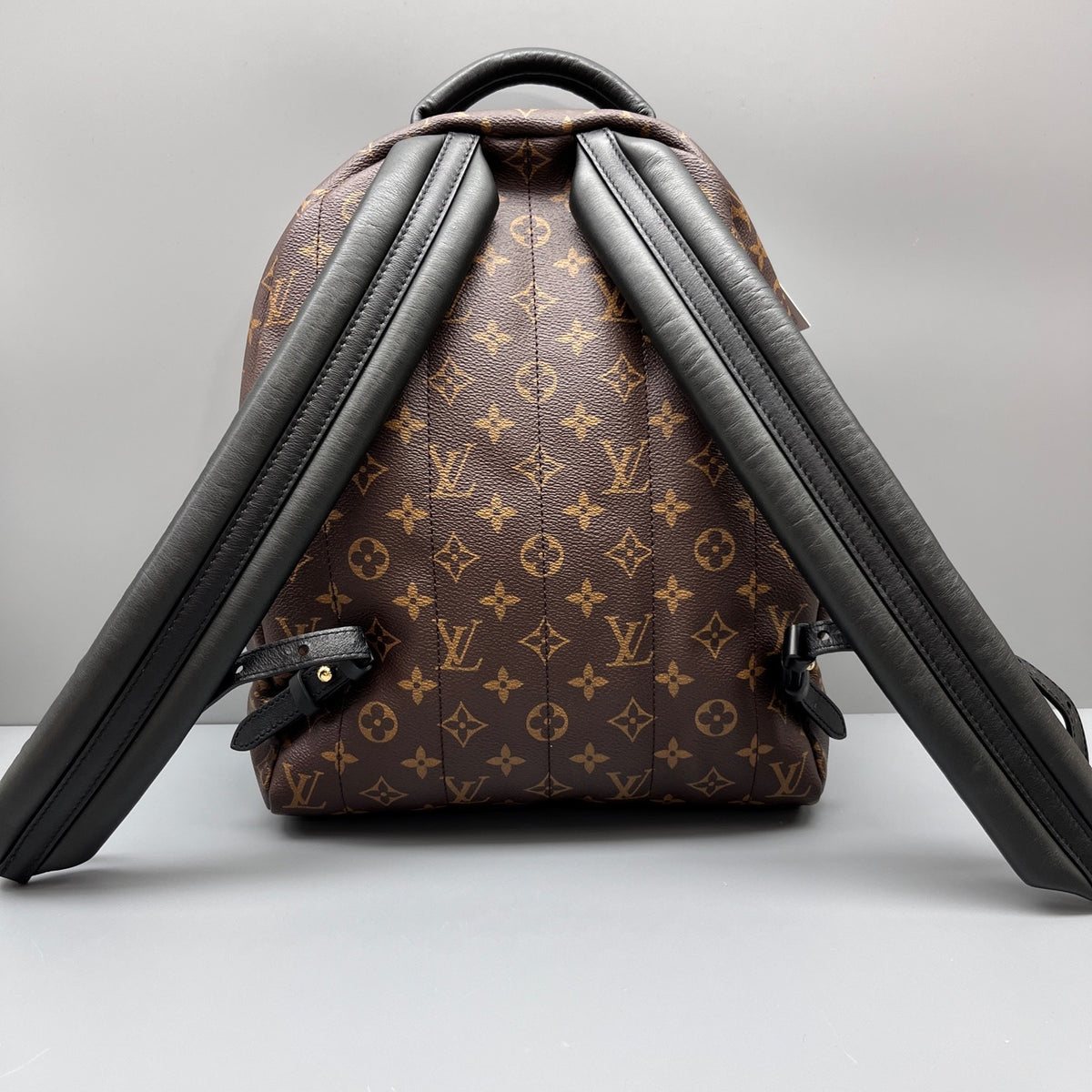 Louis Vuitton - Palm Springs - Leather - Brown