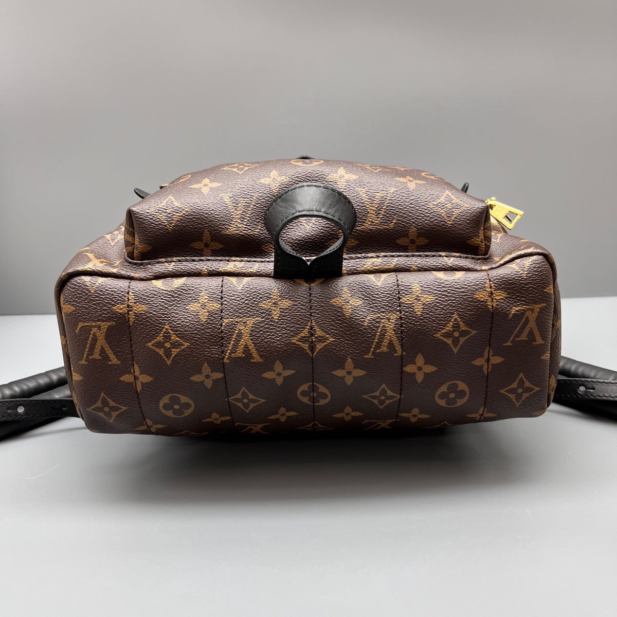 Louis Vuitton - Palm Springs - Leather - Brown