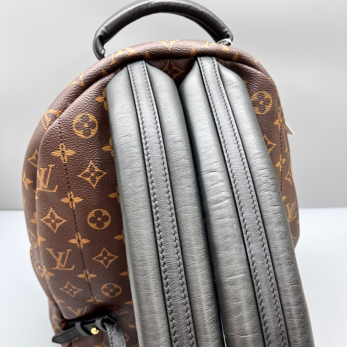 Louis Vuitton - Palm Springs - Leather - Brown