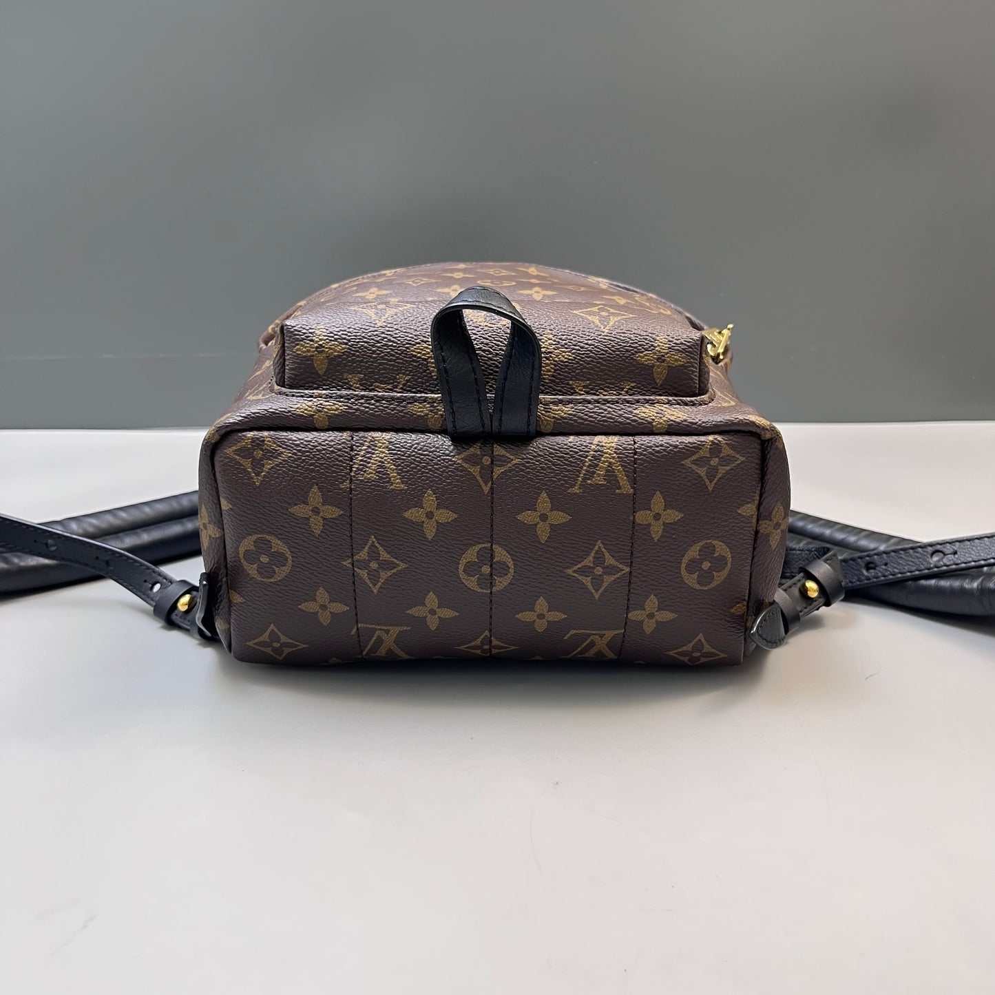 Louis Vuitton - Palm Springs - Leather - Brown - (medium)