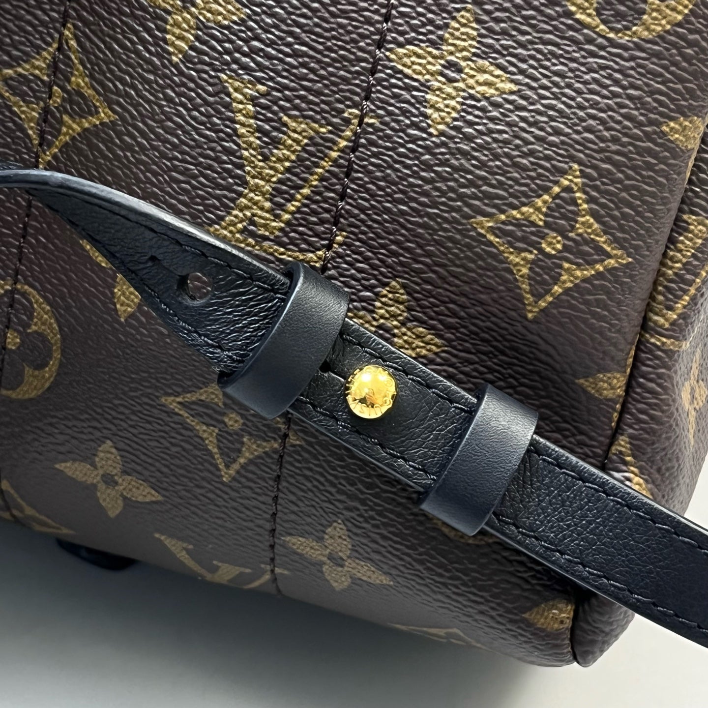 Louis Vuitton - Palm Springs - Leather - Brown - (medium)