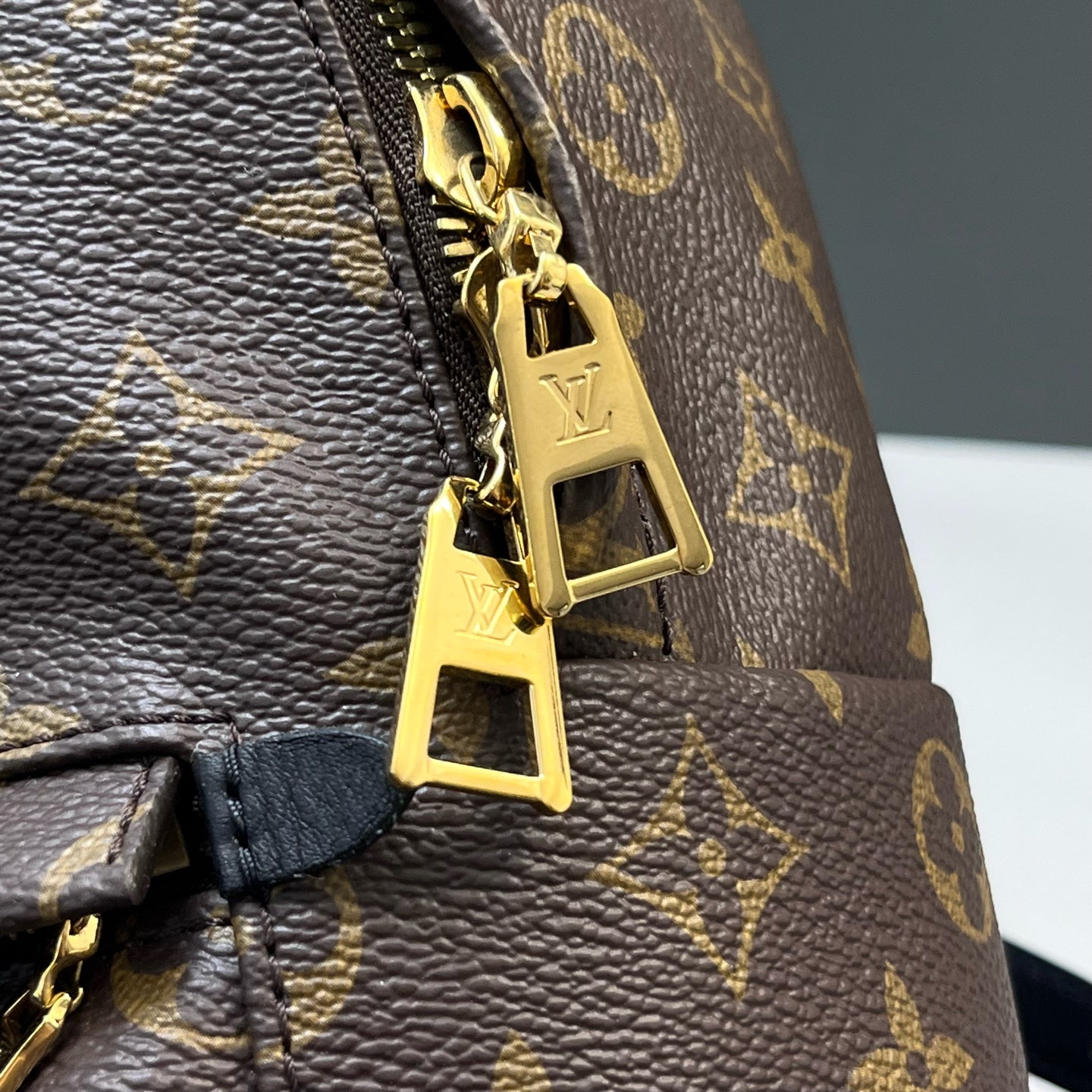 Louis Vuitton - Palm Springs - Leather - Brown - (medium)
