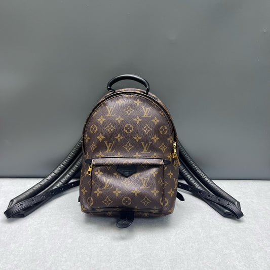 Louis Vuitton - Palm Springs - Leather - Brown - (mini)