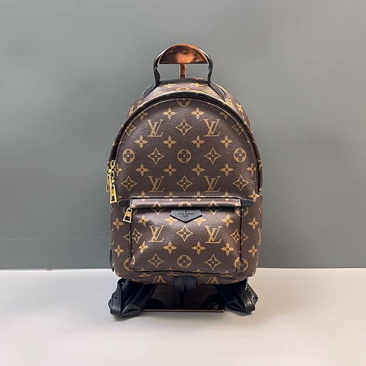 Louis Vuitton - Palm Springs - Leather - Brown - (mini)
