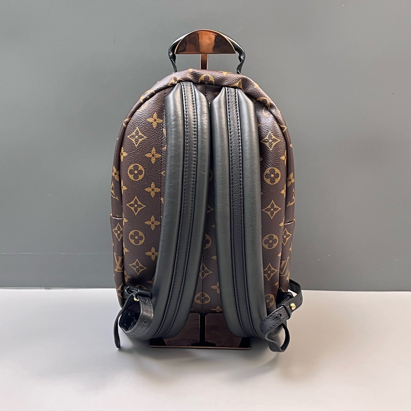 Louis Vuitton - Palm Springs - Leather - Brown - (mini)