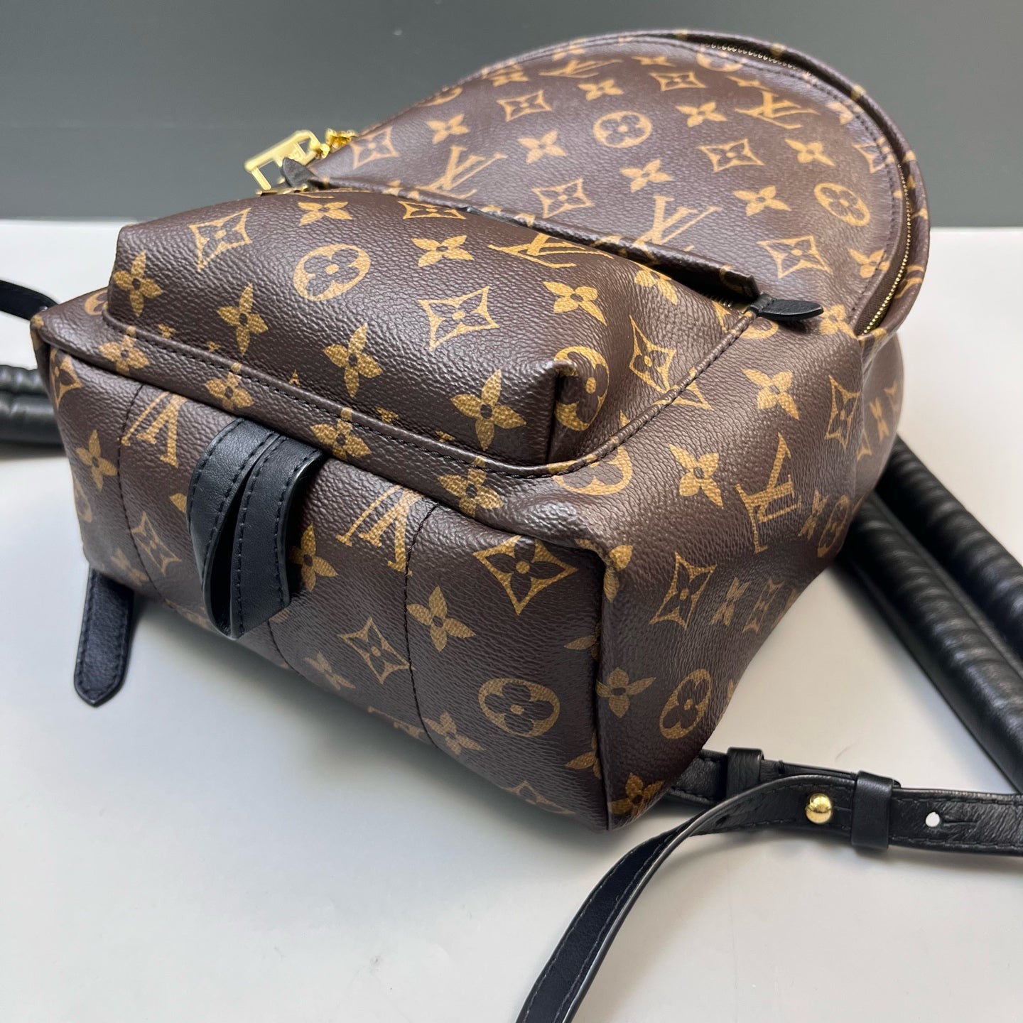 Louis Vuitton - Palm Springs - Leather - Brown - (mini)