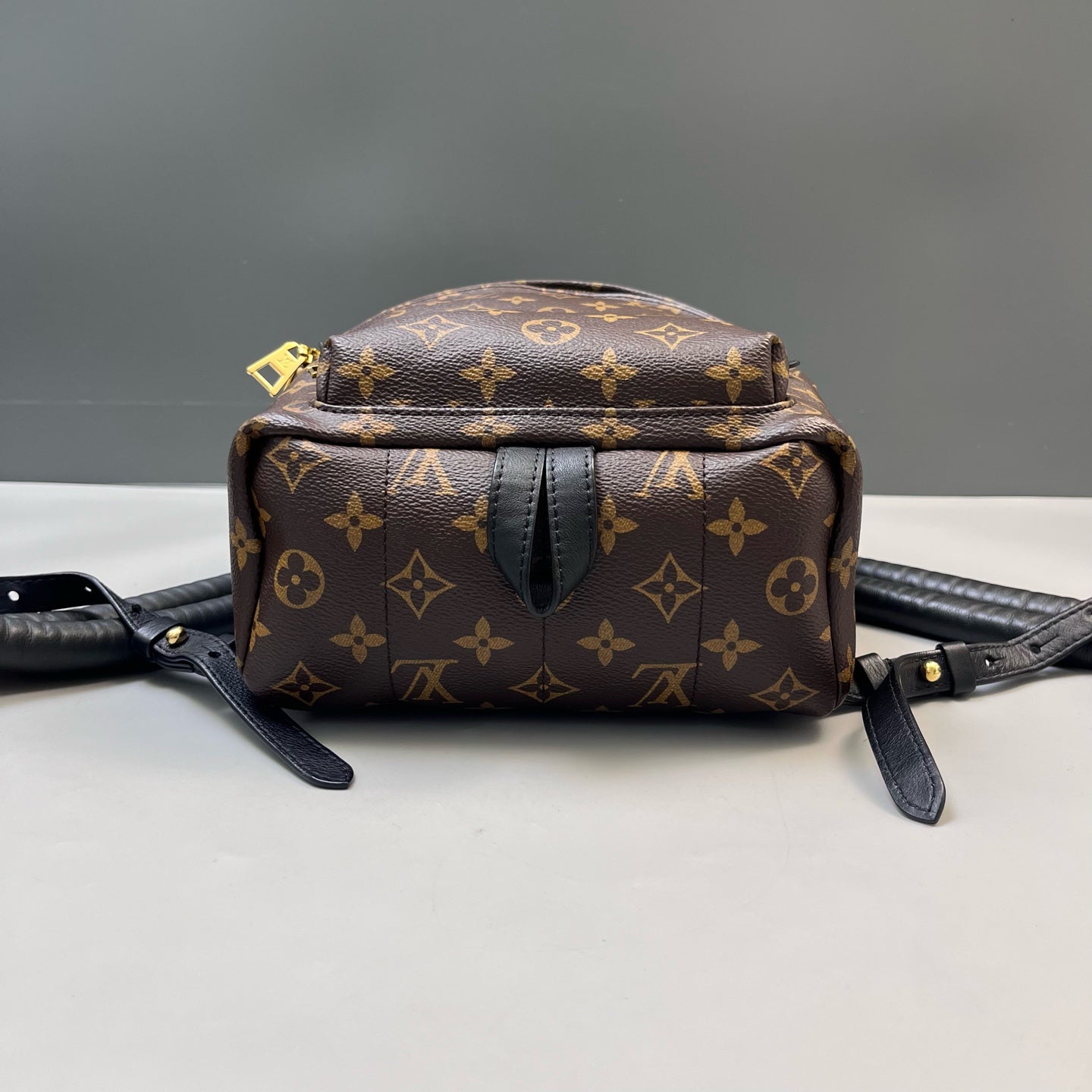 Louis Vuitton - Palm Springs - Leather - Brown - (mini)