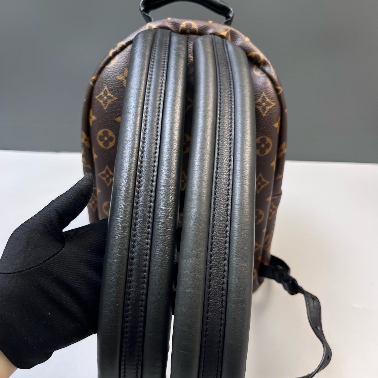 Louis Vuitton - Palm Springs - Leather - Brown - (mini)