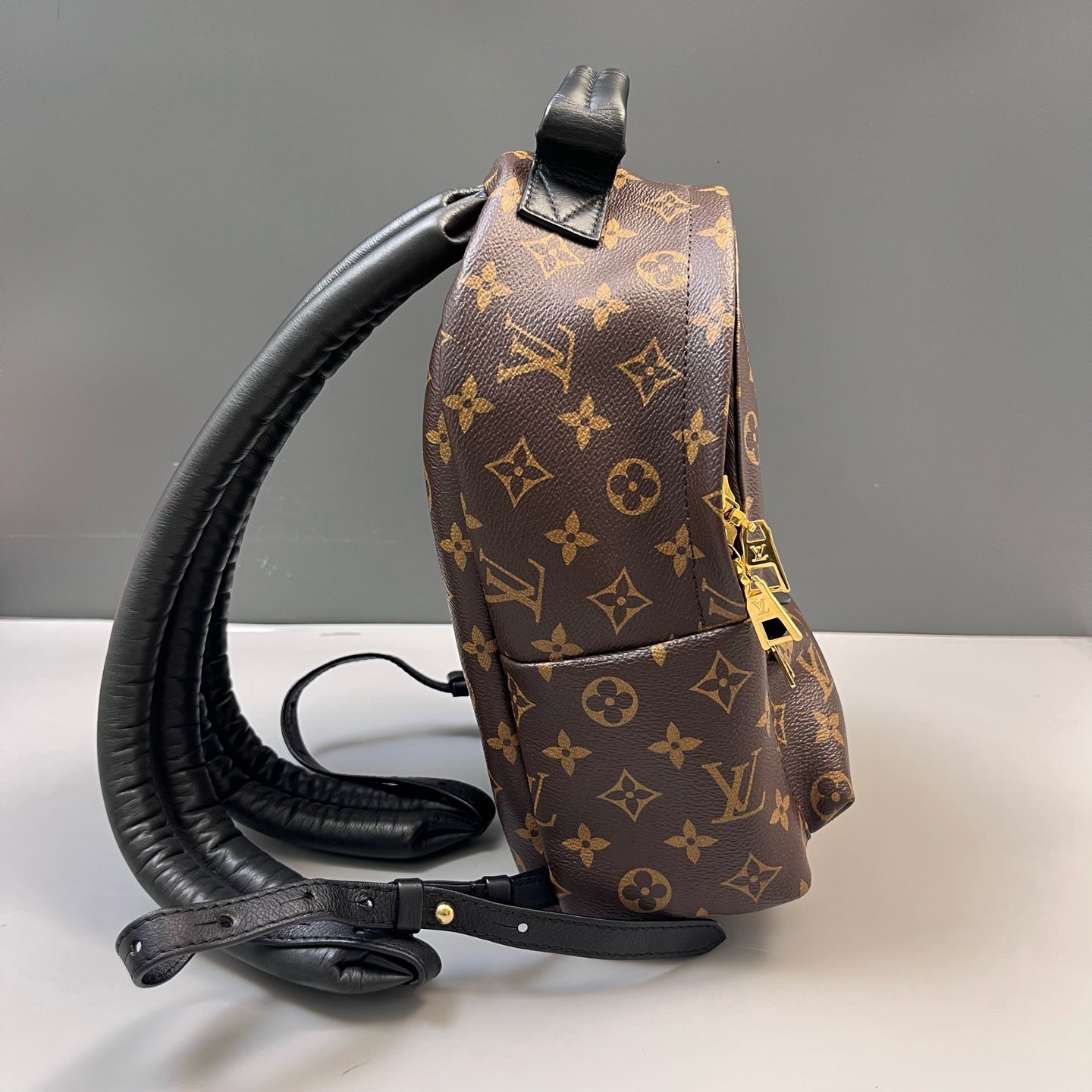 Louis Vuitton - Palm Springs - Leather - Brown - (mini)