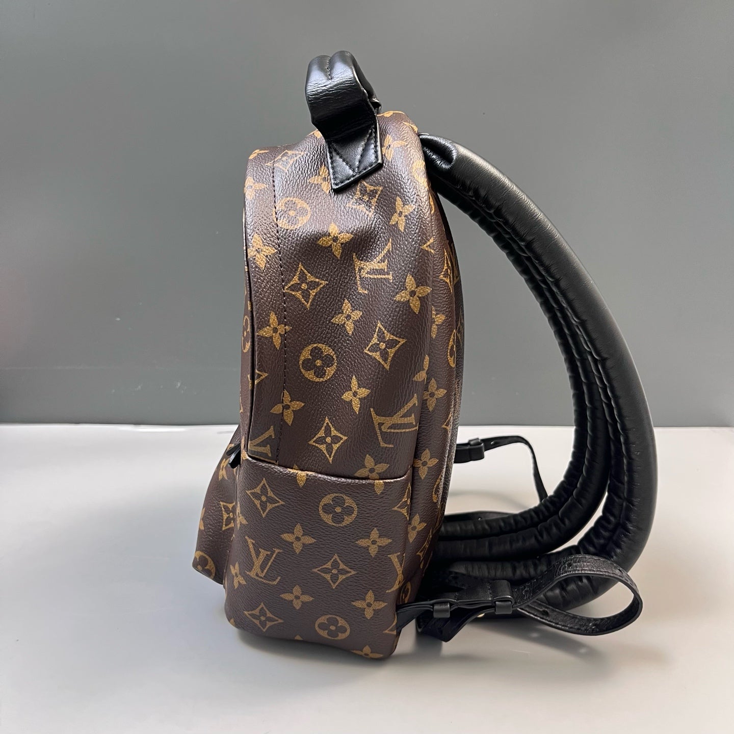 Louis Vuitton - Palm Springs - Leather - Brown - (mini)