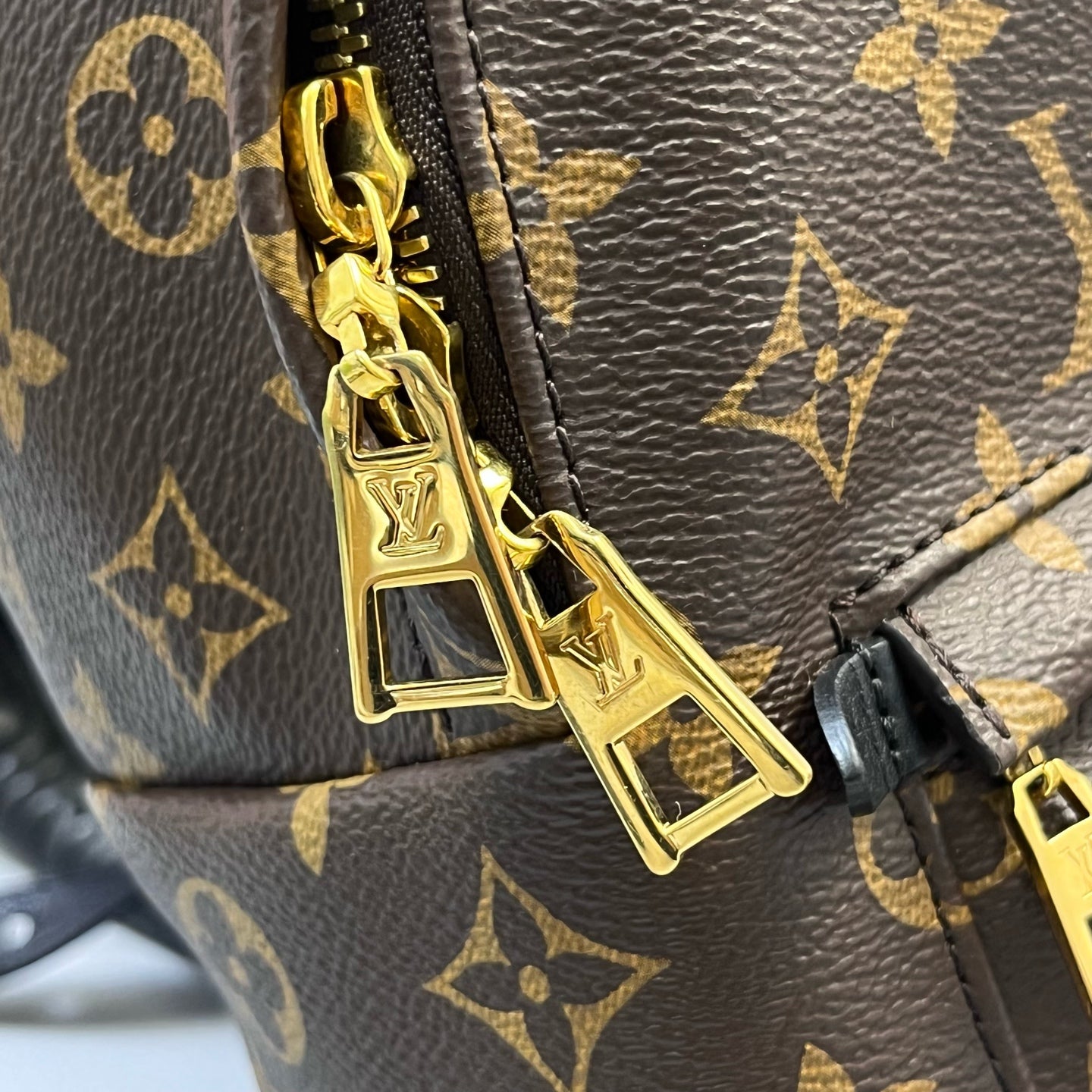 Louis Vuitton - Palm Springs - Leather - Brown - (mini)