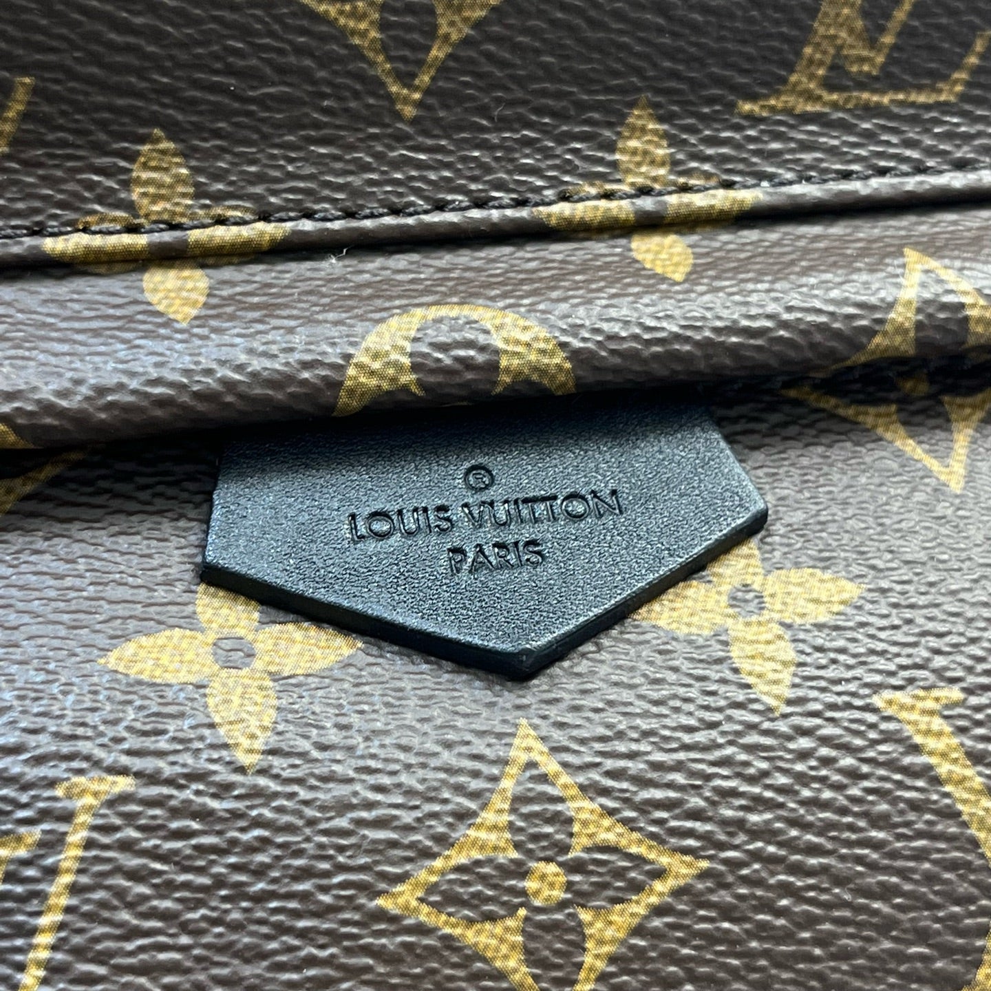Louis Vuitton - Palm Springs - Leather - Brown - (mini)