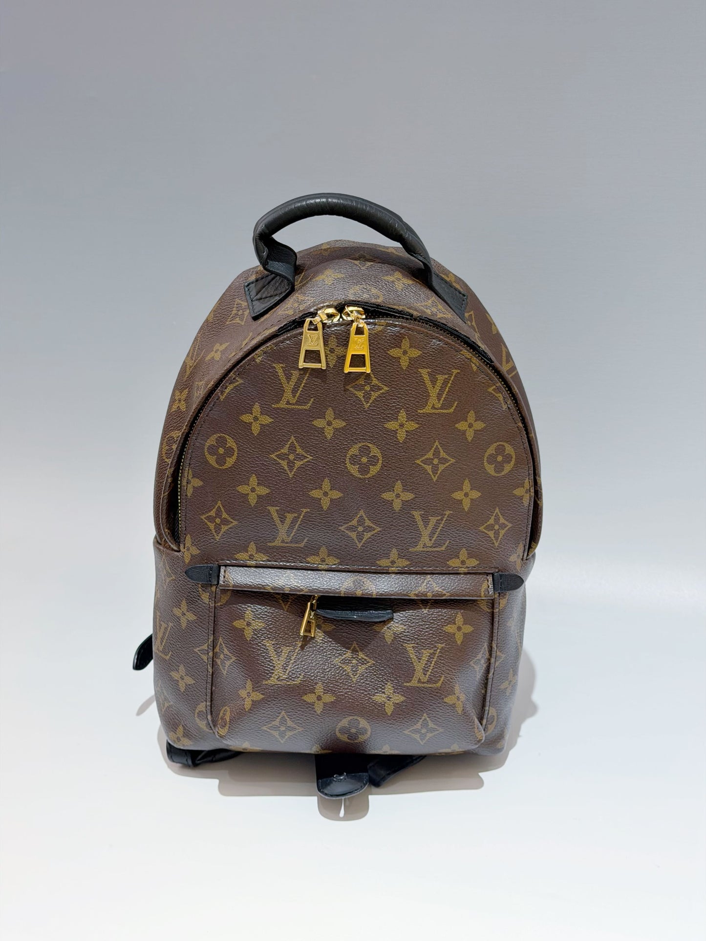 Louis Vuitton - Palm Springs - Leather - Brown - (small)