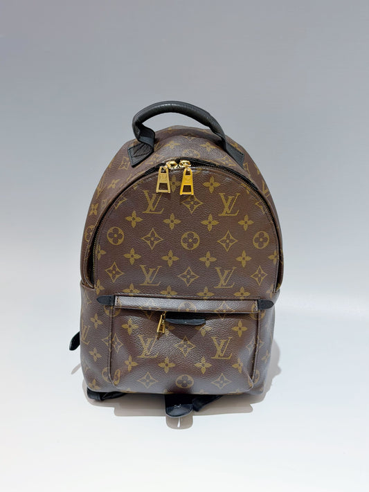 Louis Vuitton - Palm Springs - Leather - Brown - (small)