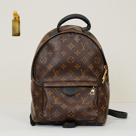 Louis Vuitton - Palm Springs - Leather - Brown - (Small)