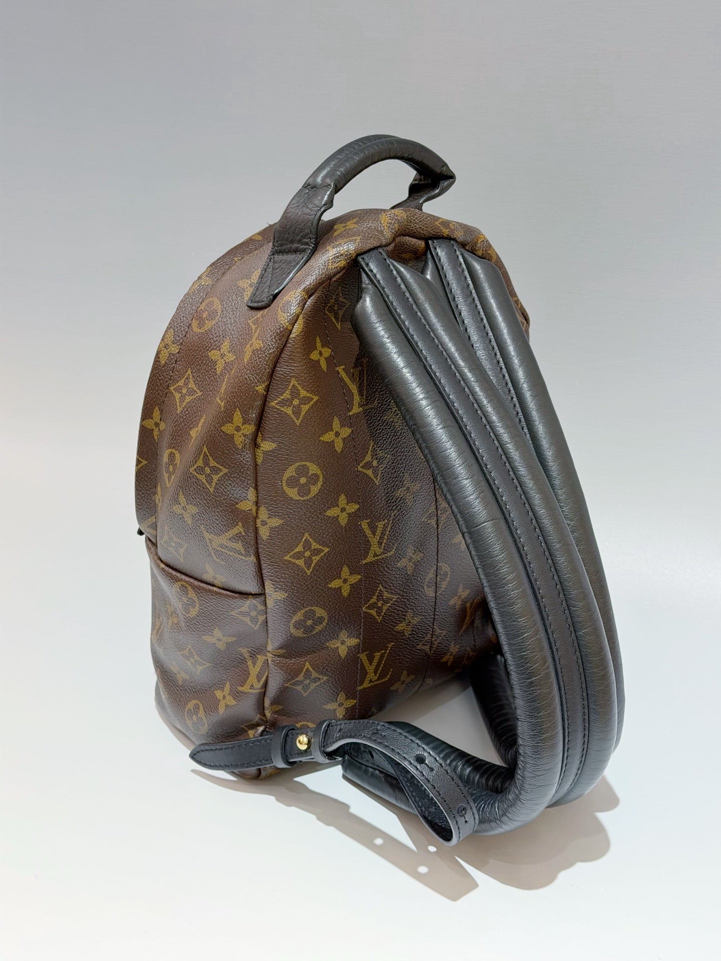 Louis Vuitton - Palm Springs - Leather - Brown - (small)