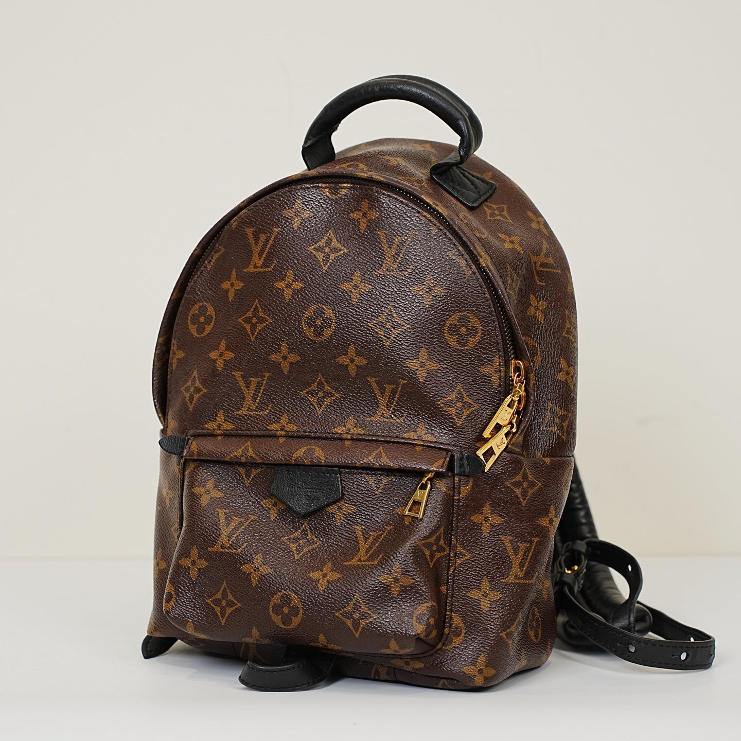 Louis Vuitton - Palm Springs - Leather - Brown - (Small)