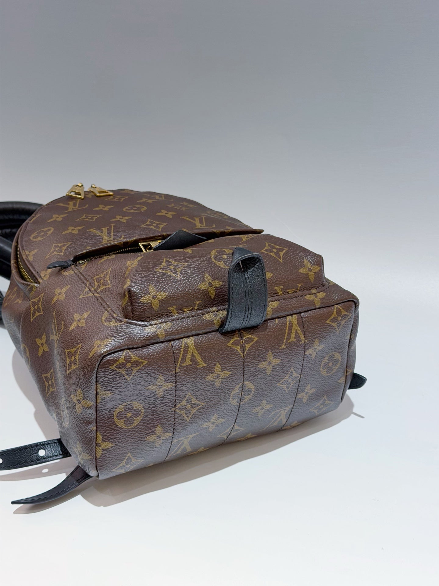 Louis Vuitton - Palm Springs - Leather - Brown - (small)