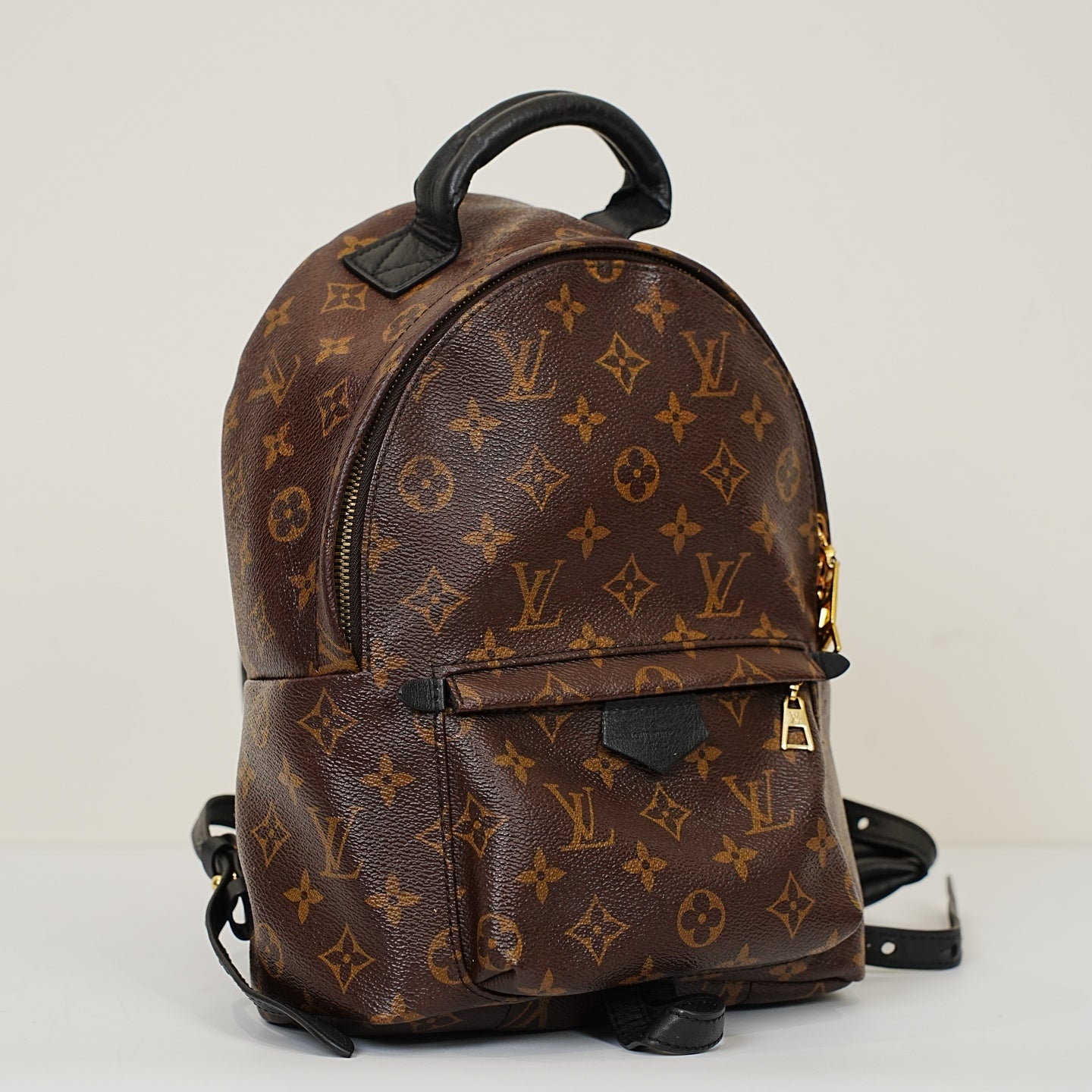 Louis Vuitton - Palm Springs - Leather - Brown - (Small)