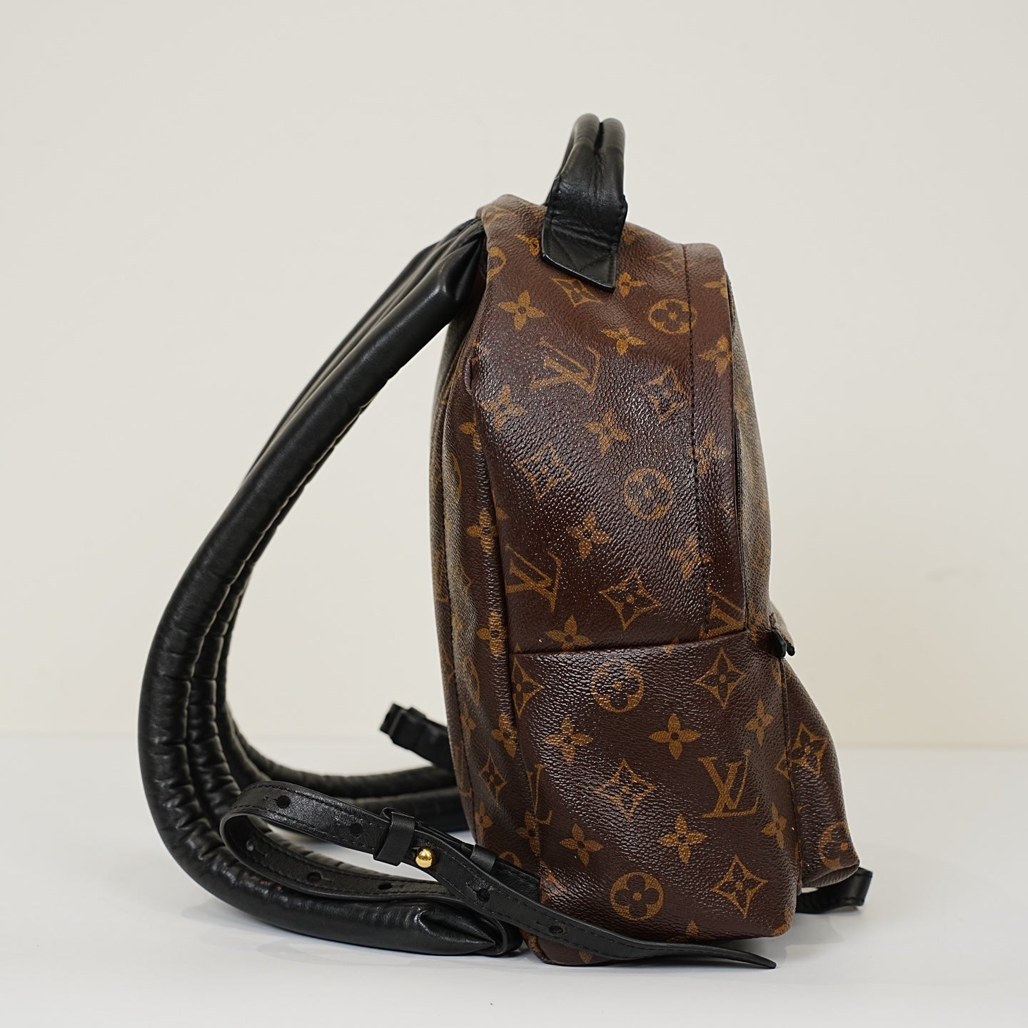 Louis Vuitton - Palm Springs - Leather - Brown - (Small)