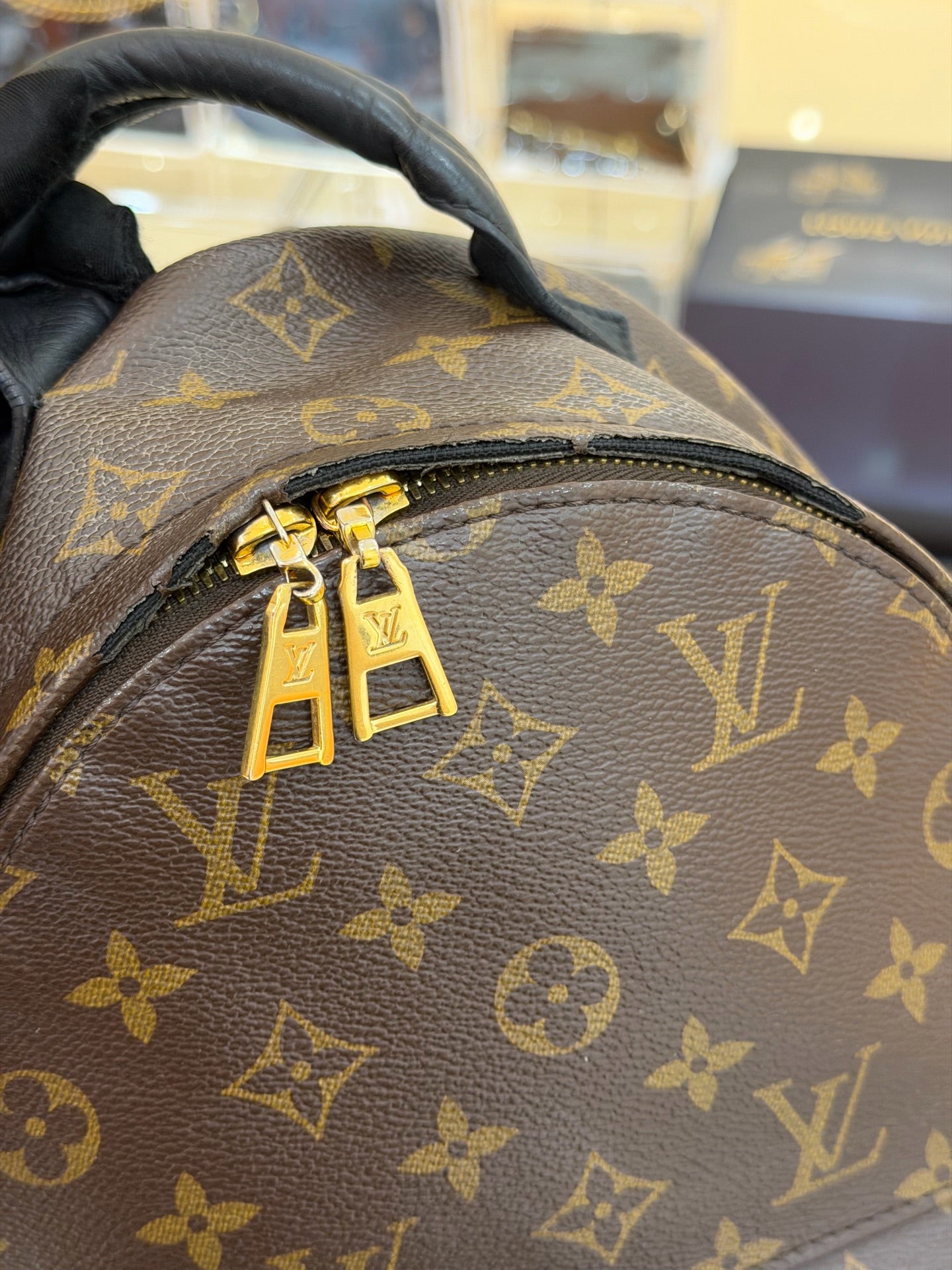 Louis Vuitton - Palm Springs - Leather - Brown - (small)