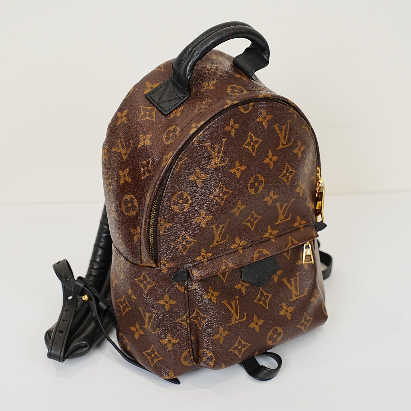 Louis Vuitton - Palm Springs - Leather - Brown - (Small)