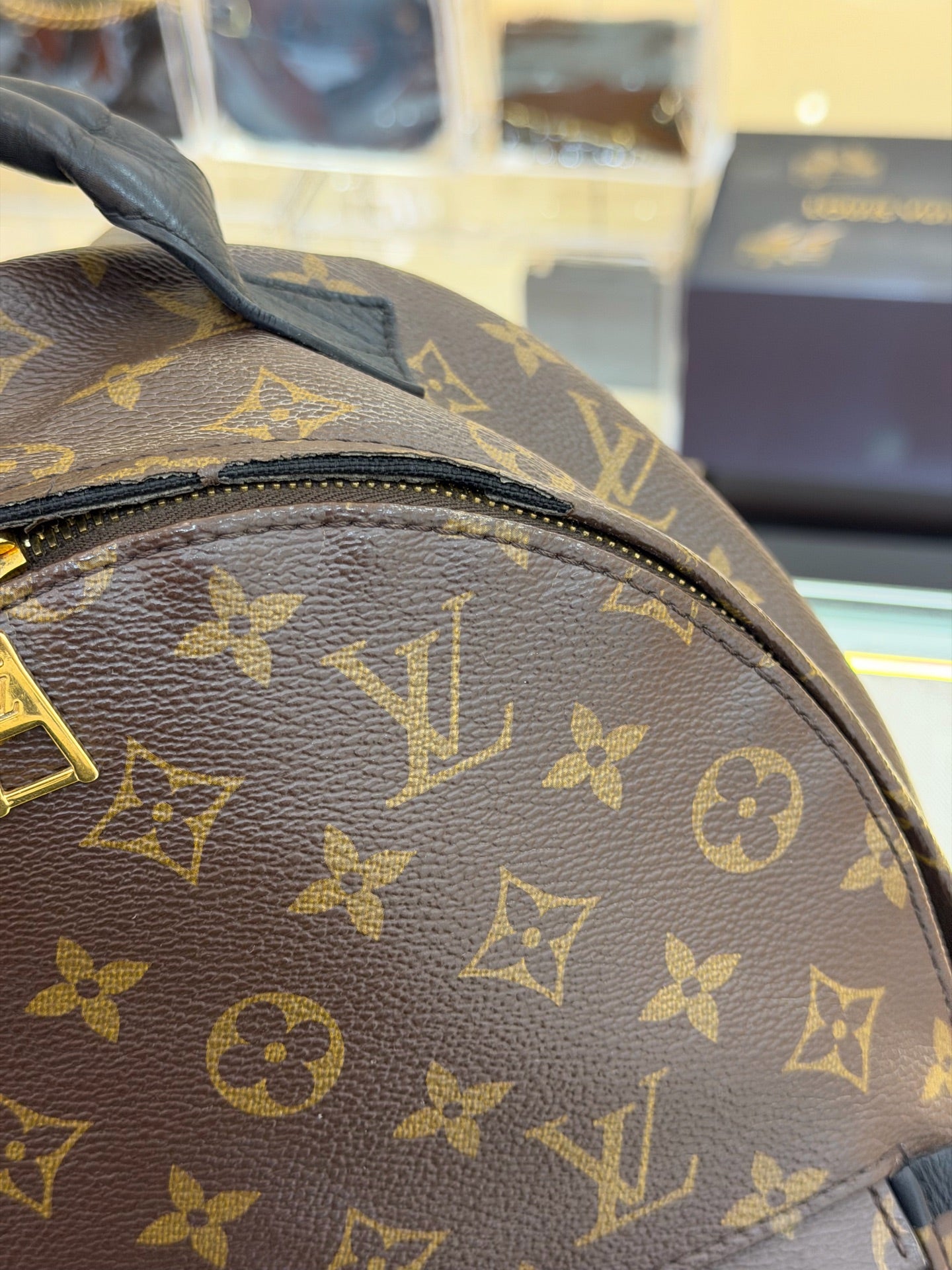 Louis Vuitton - Palm Springs - Leather - Brown - (small)