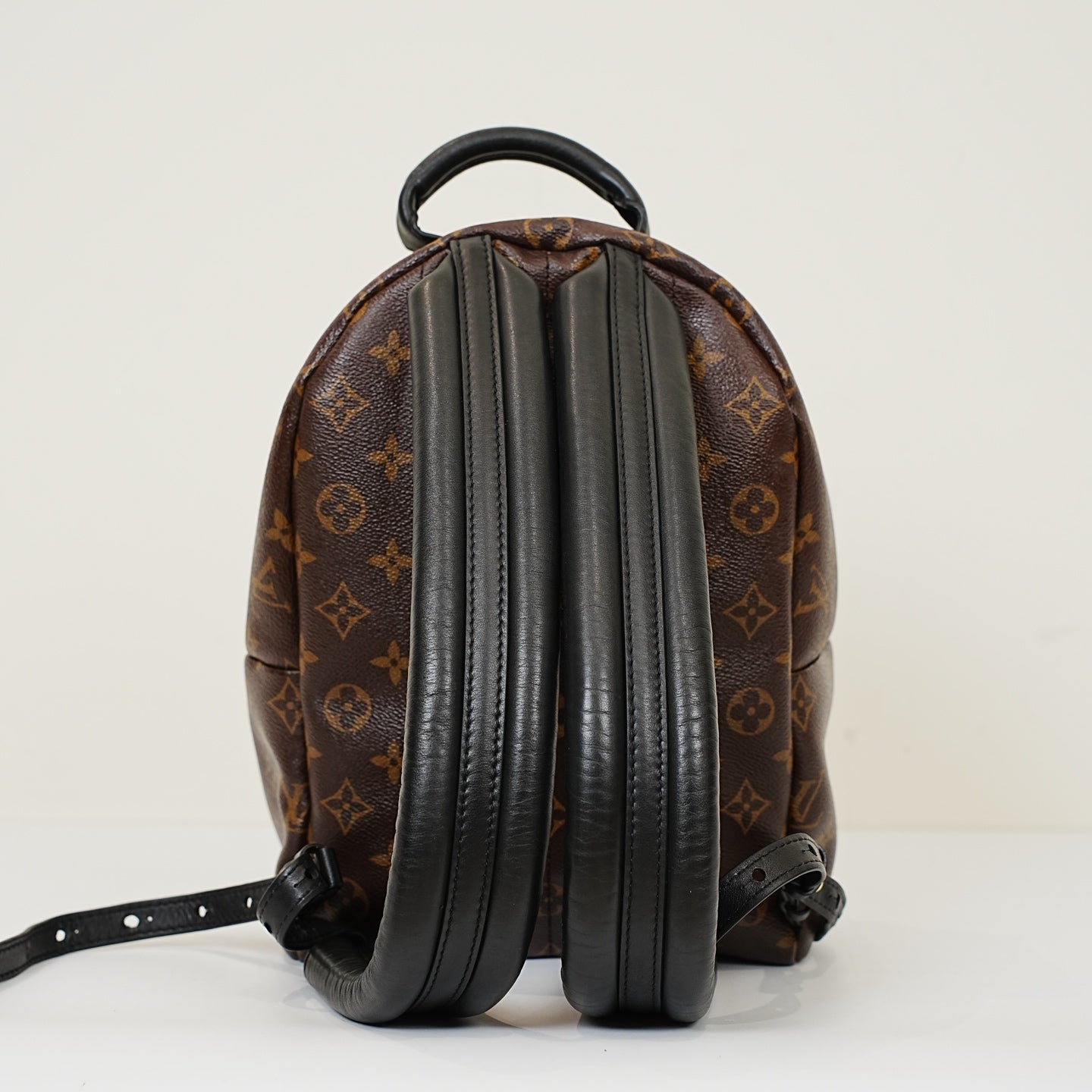 Louis Vuitton - Palm Springs - Leather - Brown - (Small)