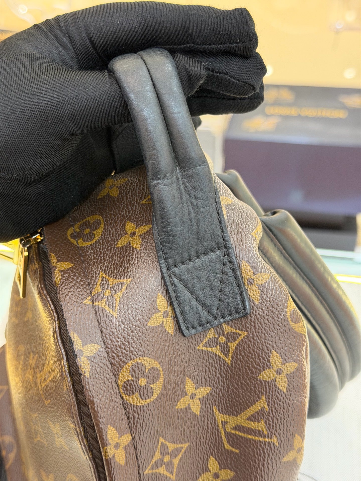 Louis Vuitton - Palm Springs - Leather - Brown - (small)