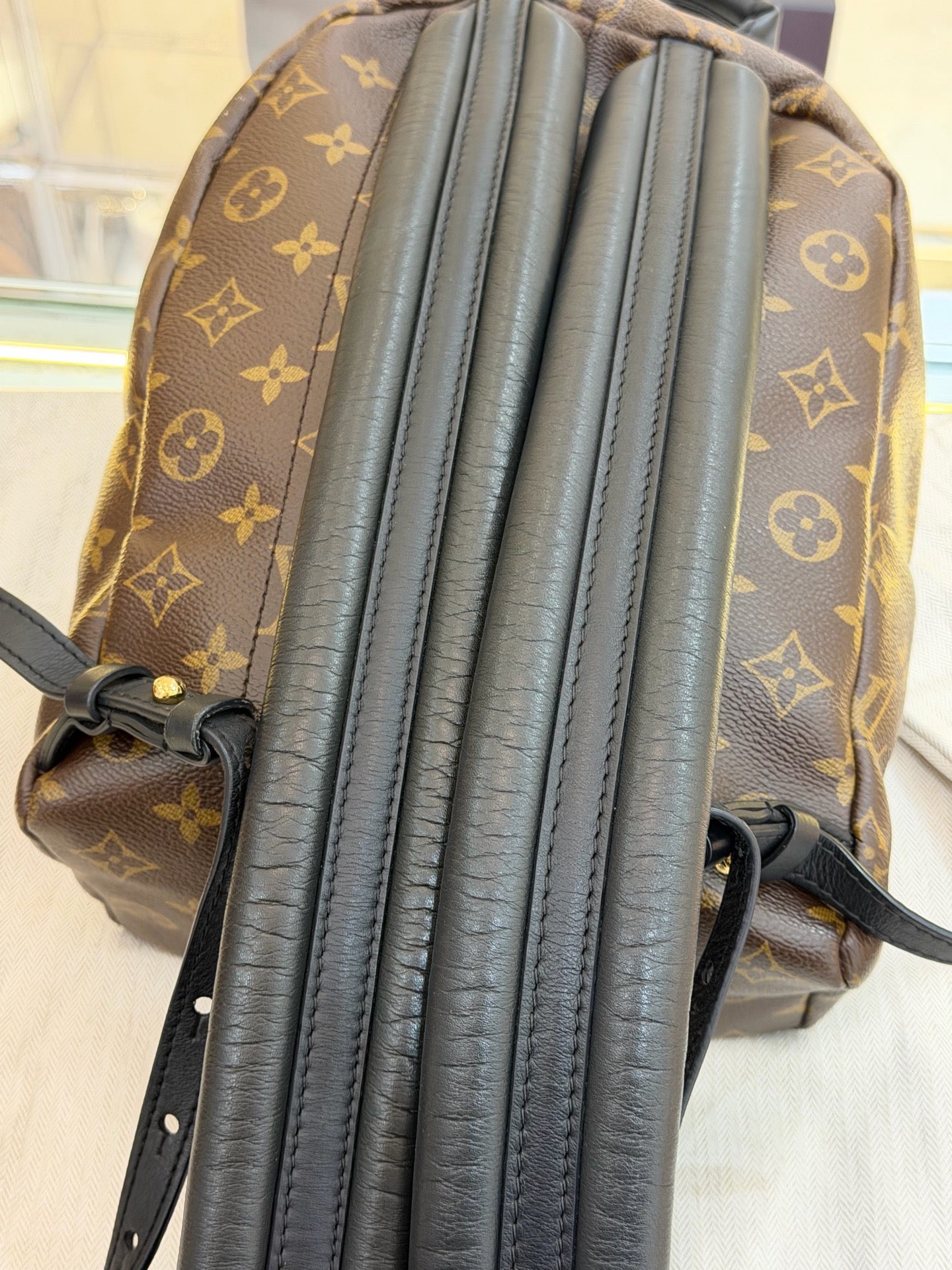 Louis Vuitton - Palm Springs - Leather - Brown - (small)