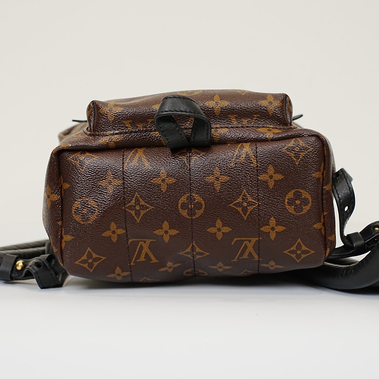 Louis Vuitton - Palm Springs - Leather - Brown - (Small)
