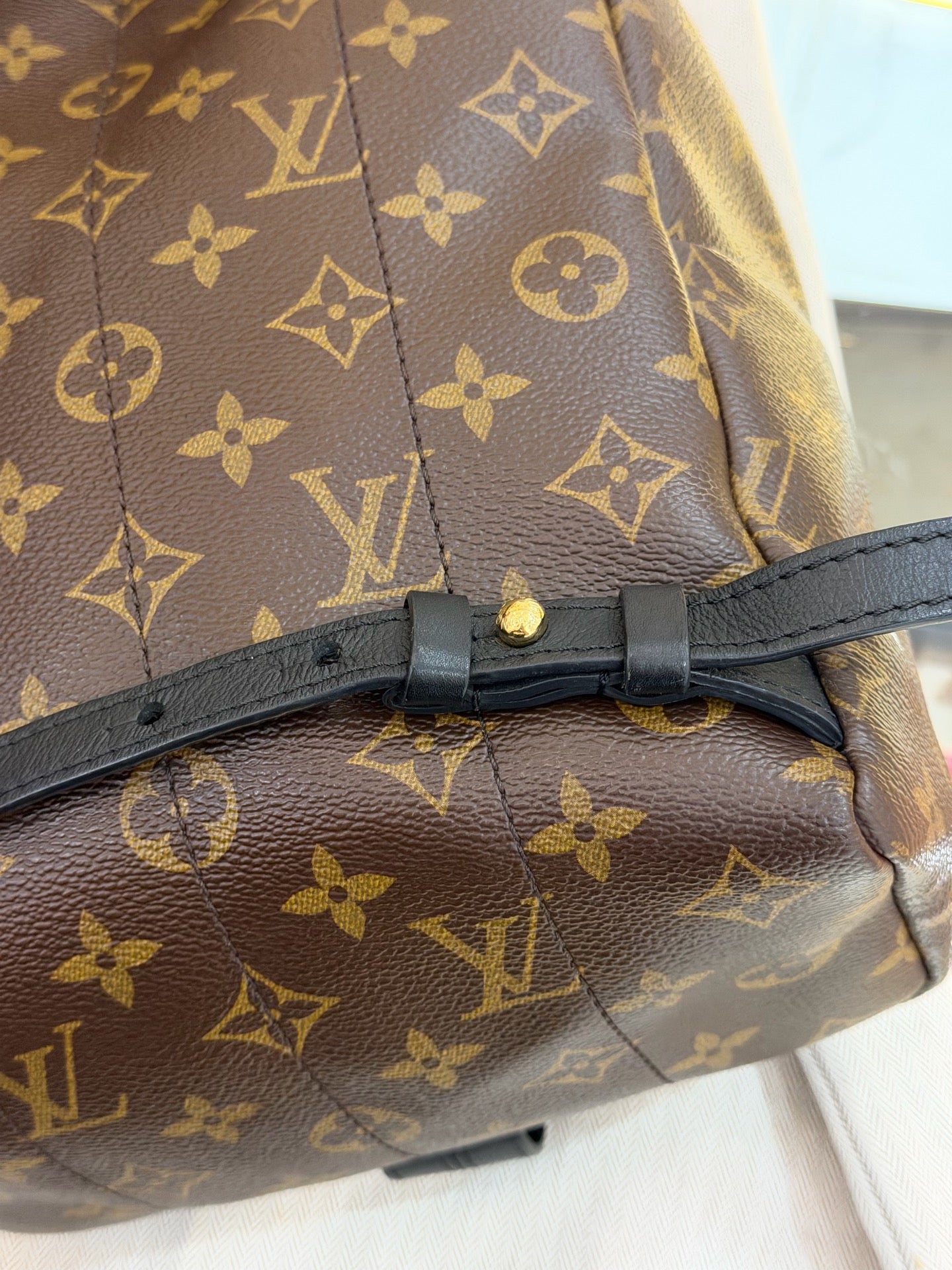 Louis Vuitton - Palm Springs - Leather - Brown - (small)