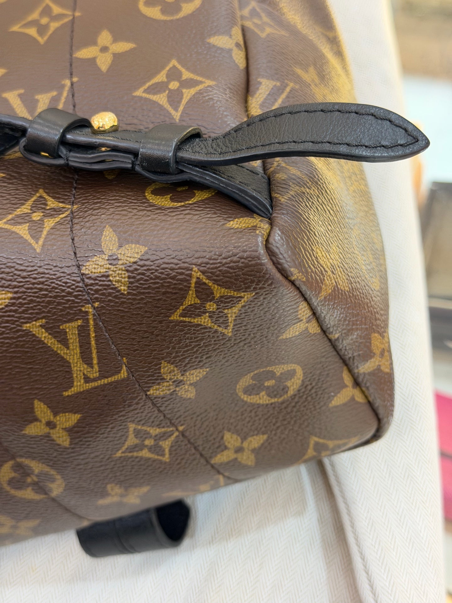 Louis Vuitton - Palm Springs - Leather - Brown - (small)