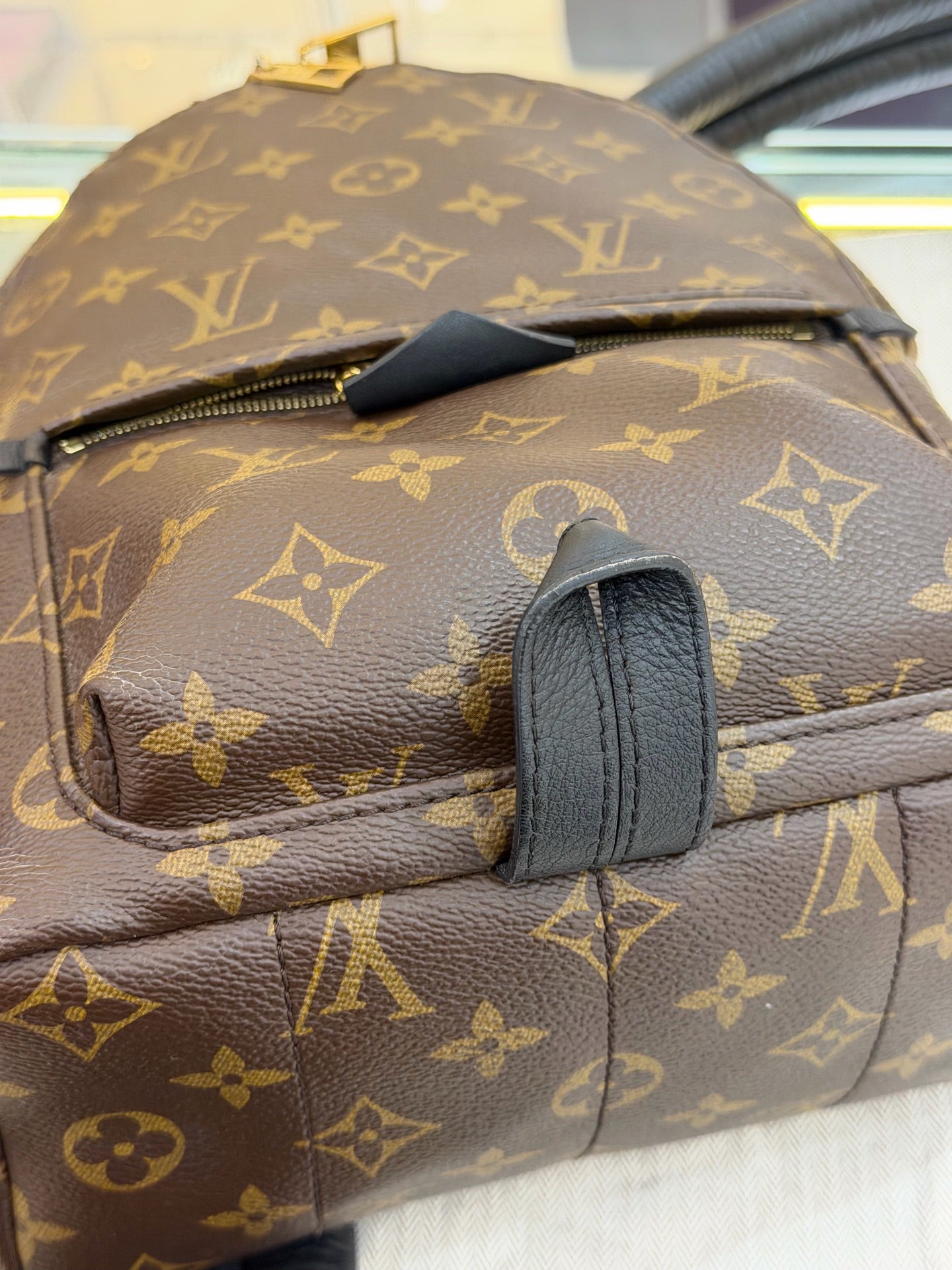 Louis Vuitton - Palm Springs - Leather - Brown - (small)