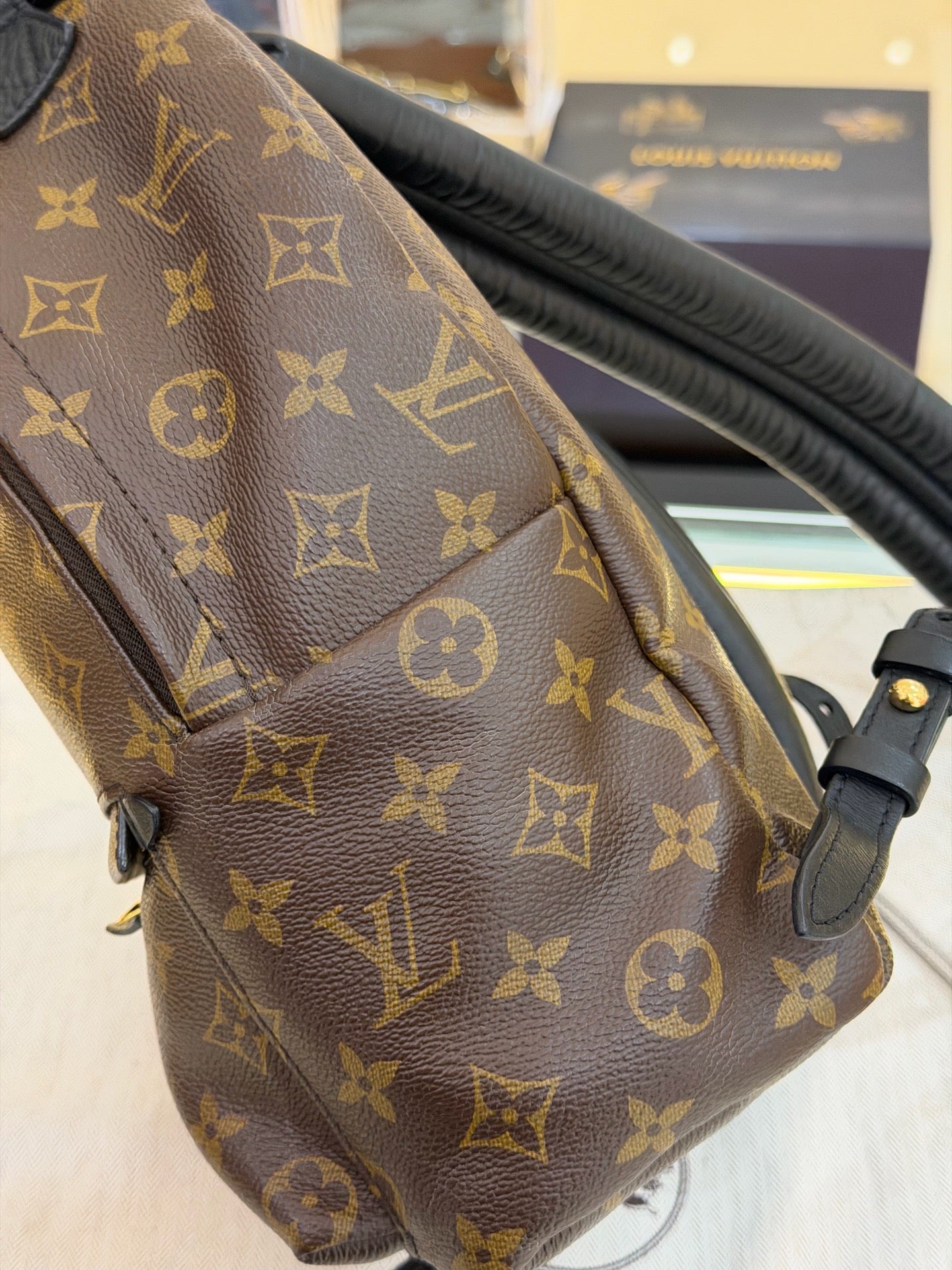 Louis Vuitton - Palm Springs - Leather - Brown - (small)