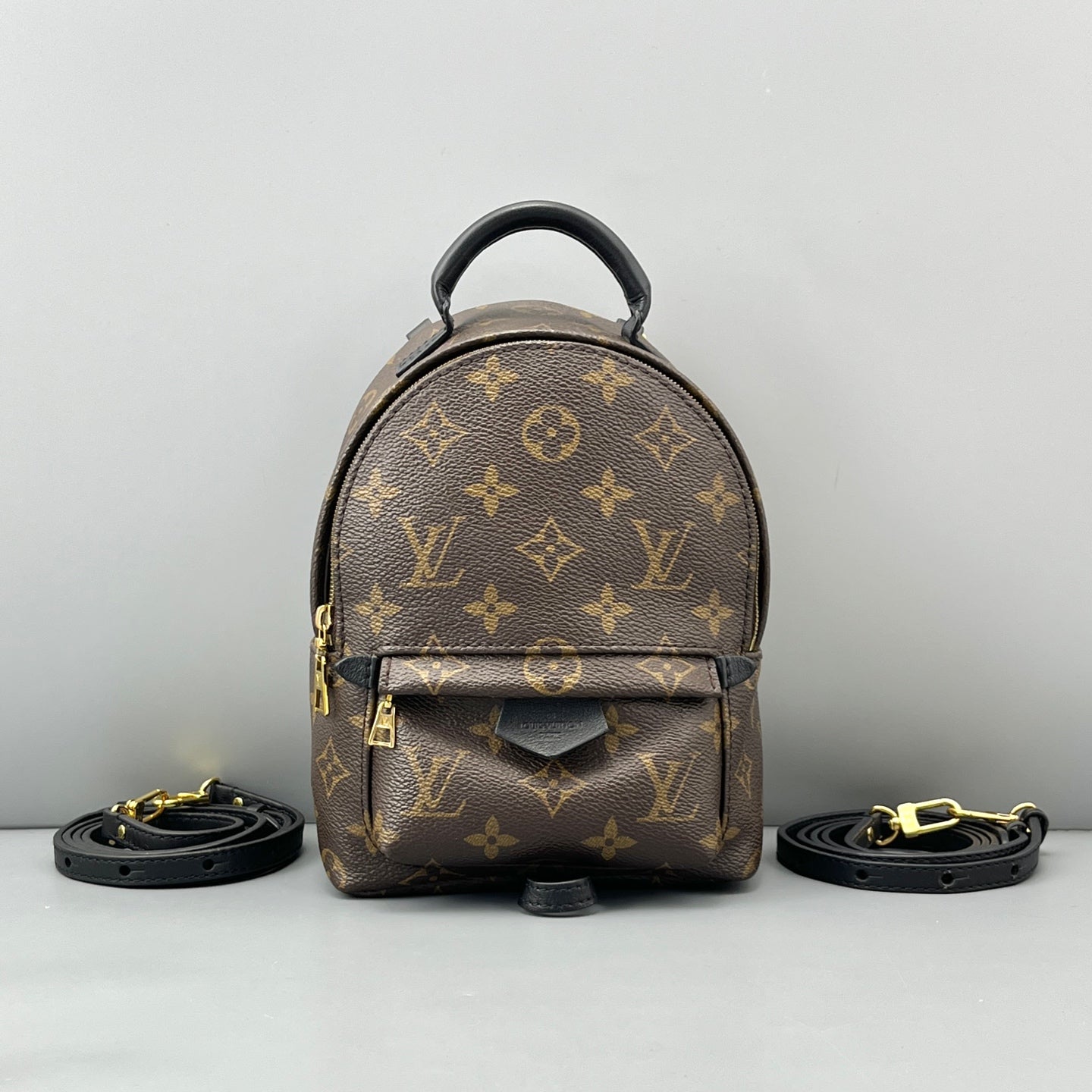 Louis Vuitton - Palm Springs Mini Backpack - Leather - Brown - (mini)