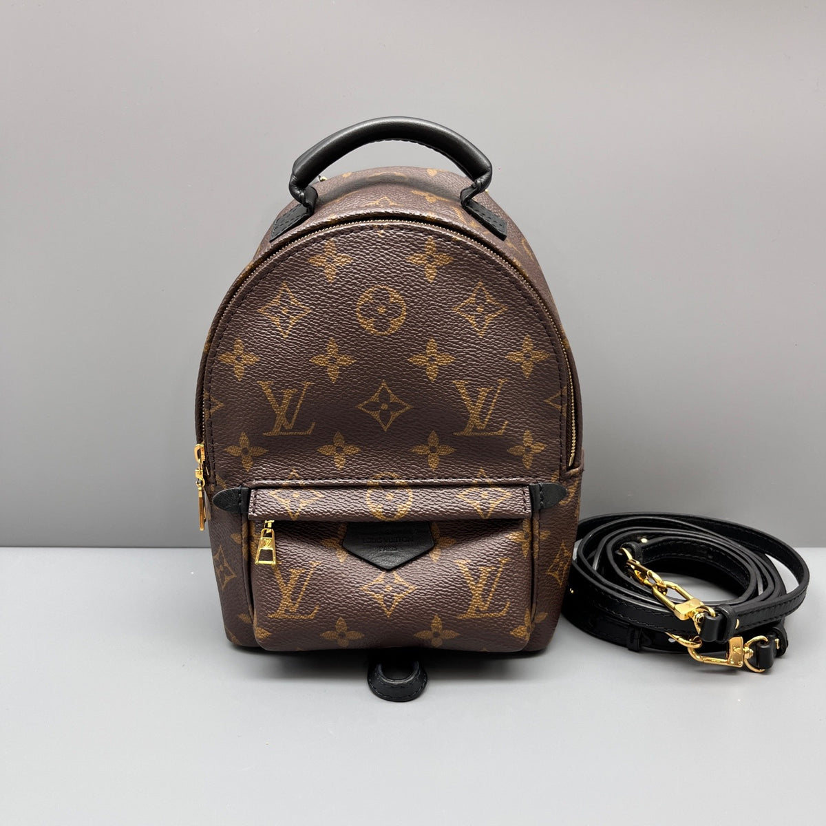 Louis Vuitton - Palm Springs Mini Backpack - Leather - Brown - (mini)