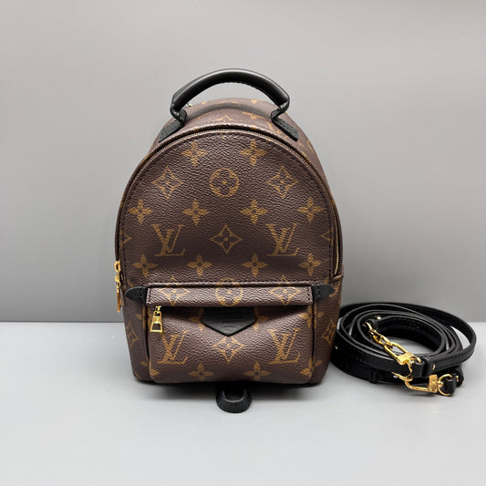 Louis Vuitton - Palm Springs Mini Backpack - Leather - Brown - (mini)