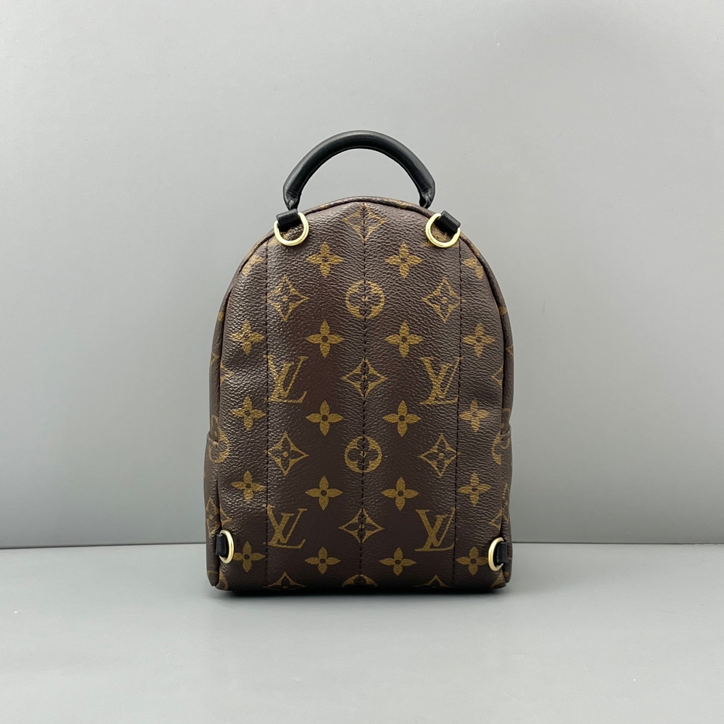 Louis Vuitton - Palm Springs Mini Backpack - Leather - Brown - (mini)