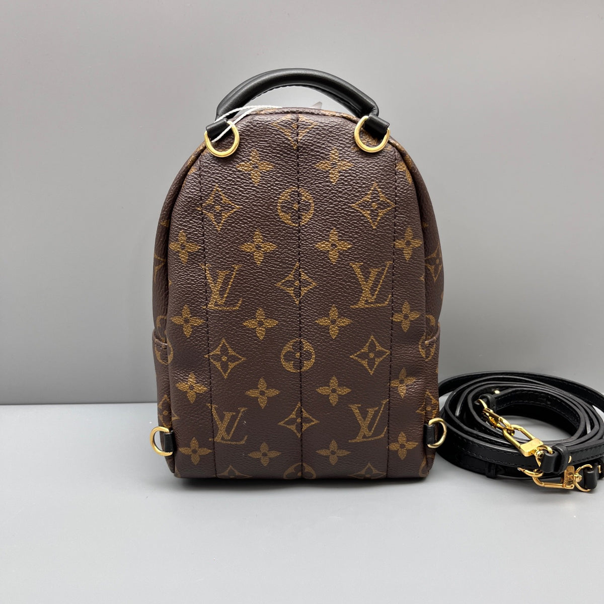 Louis Vuitton - Palm Springs Mini Backpack - Leather - Brown - (mini)