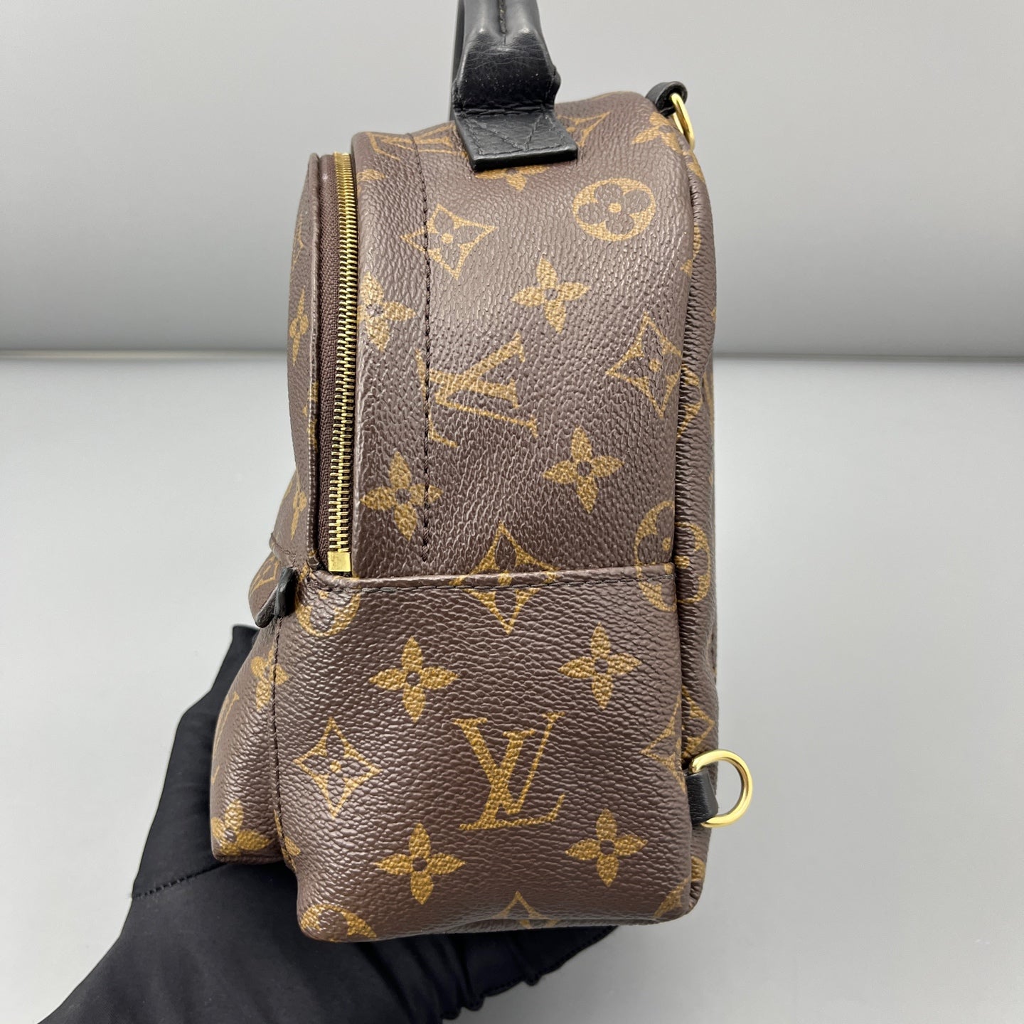 Louis Vuitton - Palm Springs Mini Backpack - Leather - Brown - (mini)