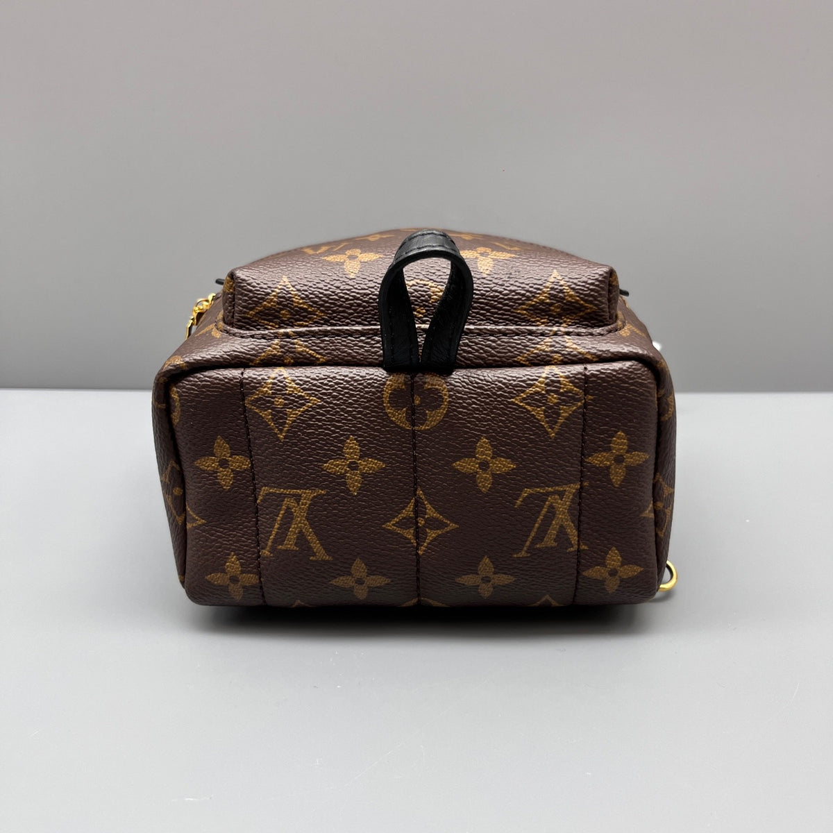 Louis Vuitton - Palm Springs Mini Backpack - Leather - Brown - (mini)