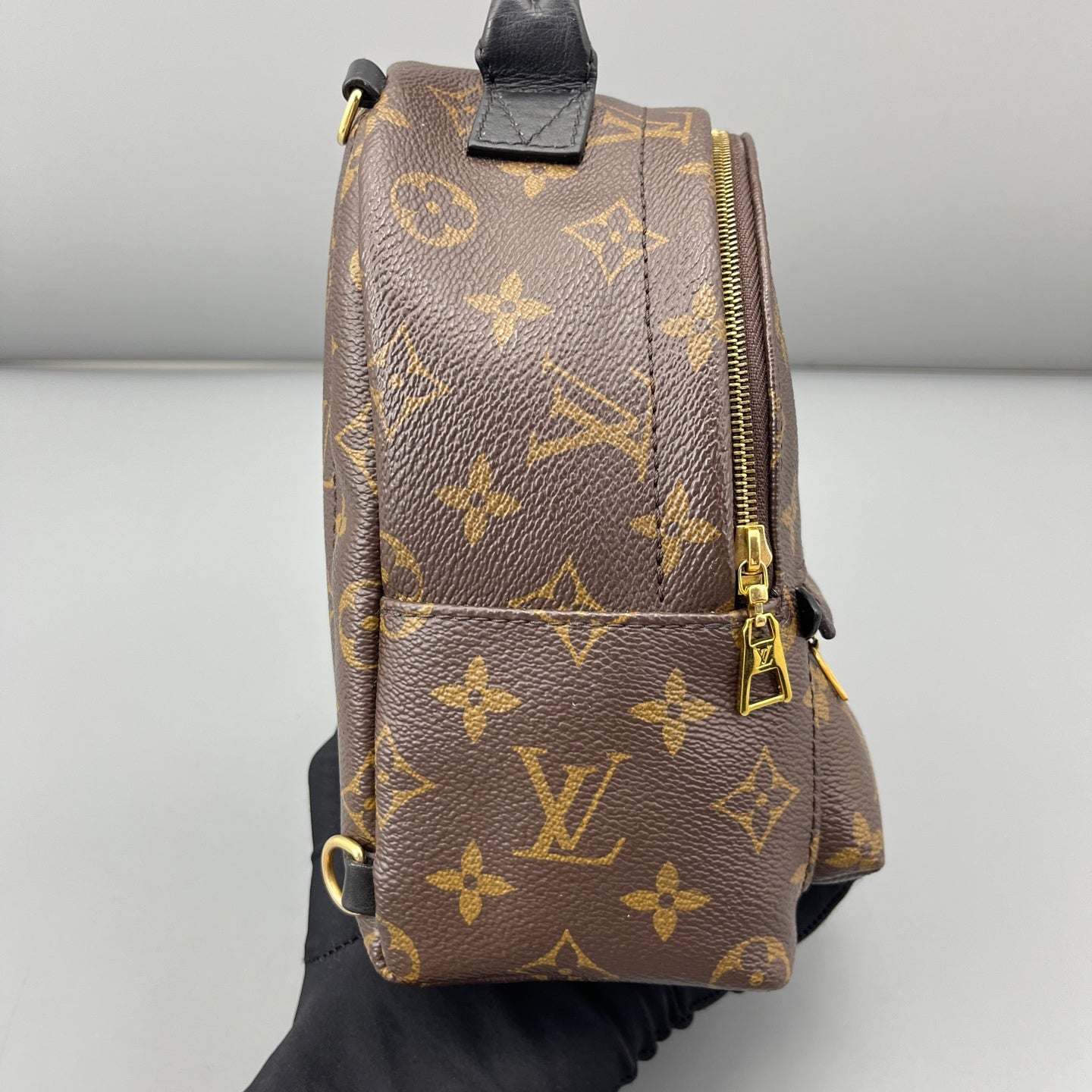 Louis Vuitton - Palm Springs Mini Backpack - Leather - Brown - (mini)